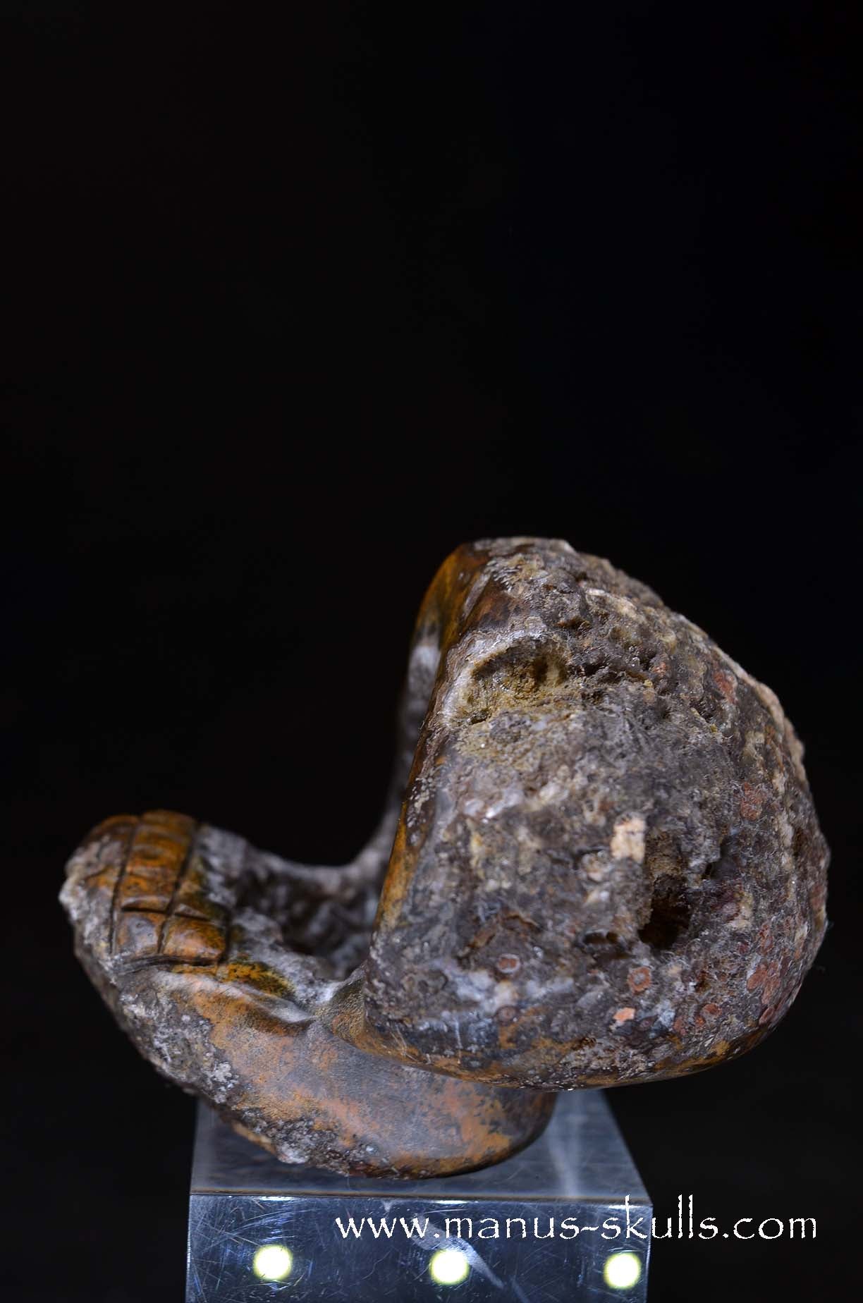 Agate Geode Evolian #01