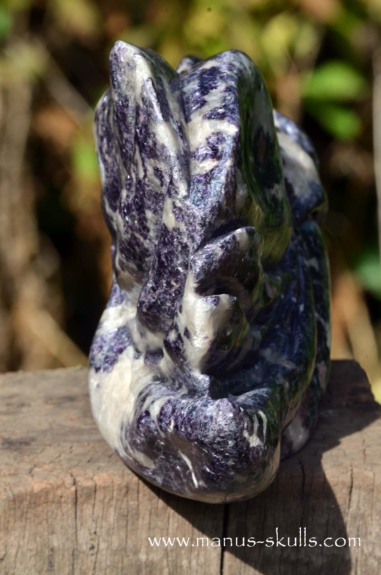 Huge LEPIDOLITE Dragon ...