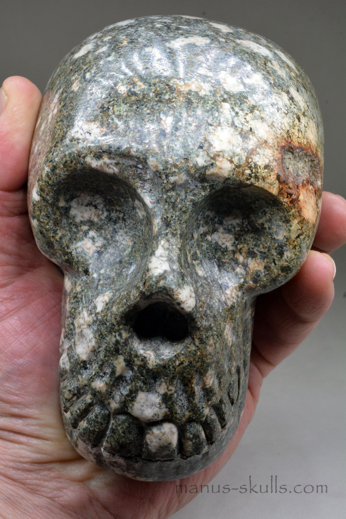 Large Preseli Bluestone Skull with Free Brainstem pendant!