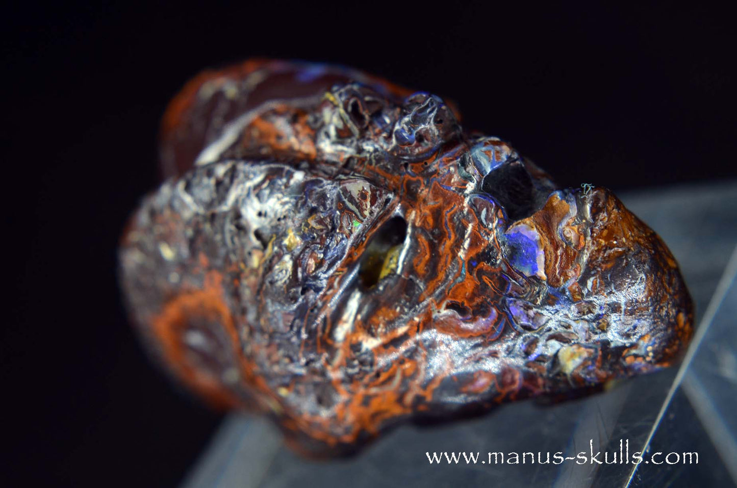 Yowah Nut Opal Dragon