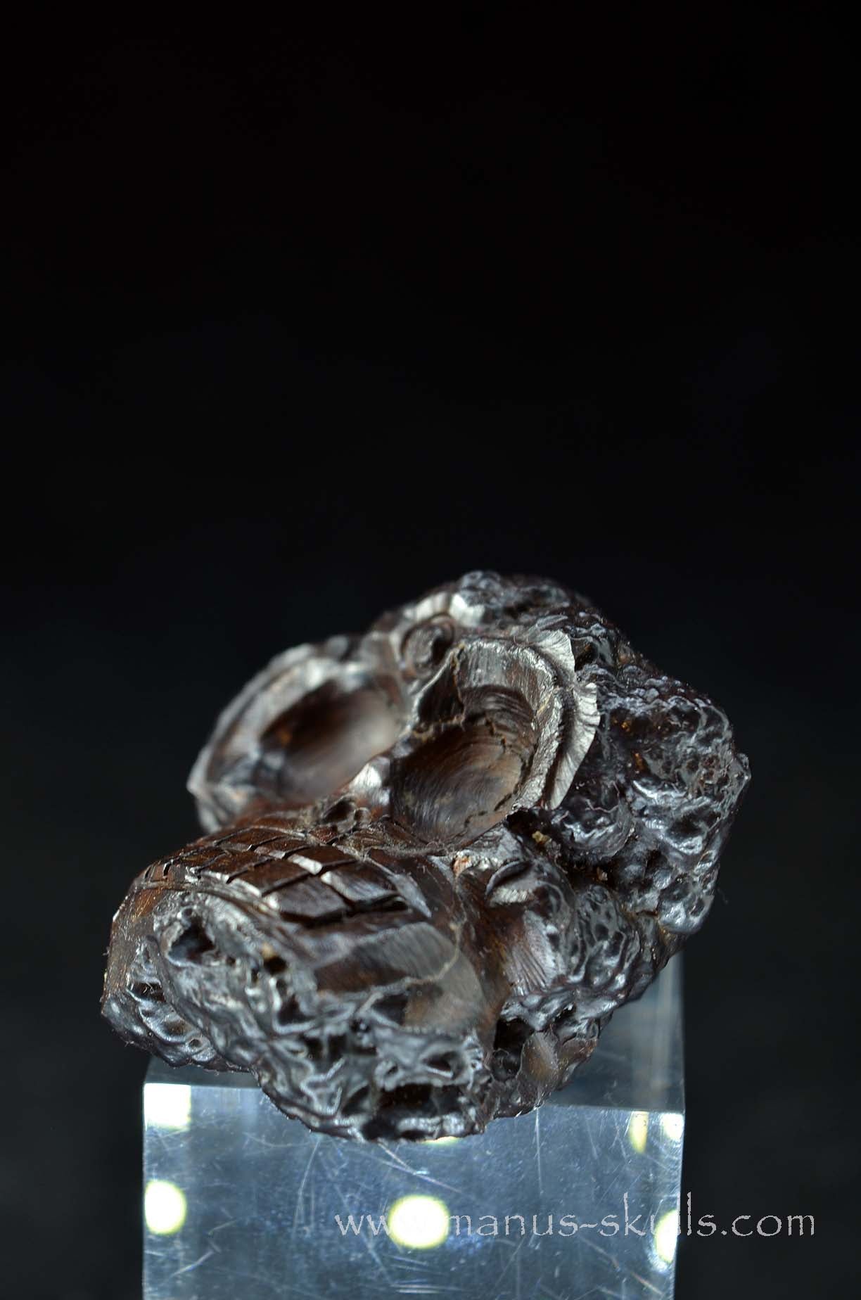 Prophecy Stone Evolian #02