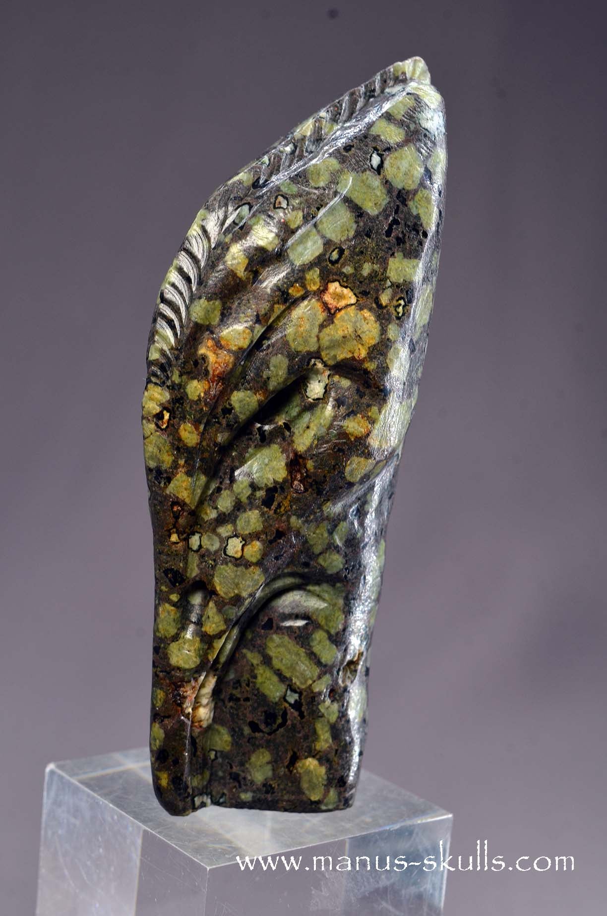 Lakelandite Bird .... Skull