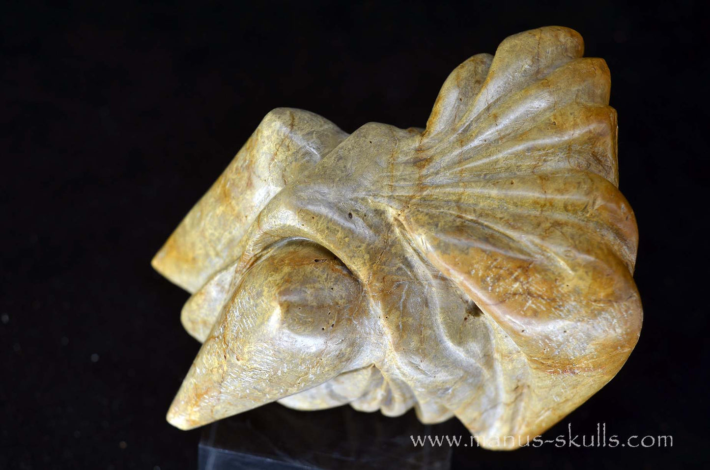 Sarsens Stone Dragon (Stonehenge Stone)