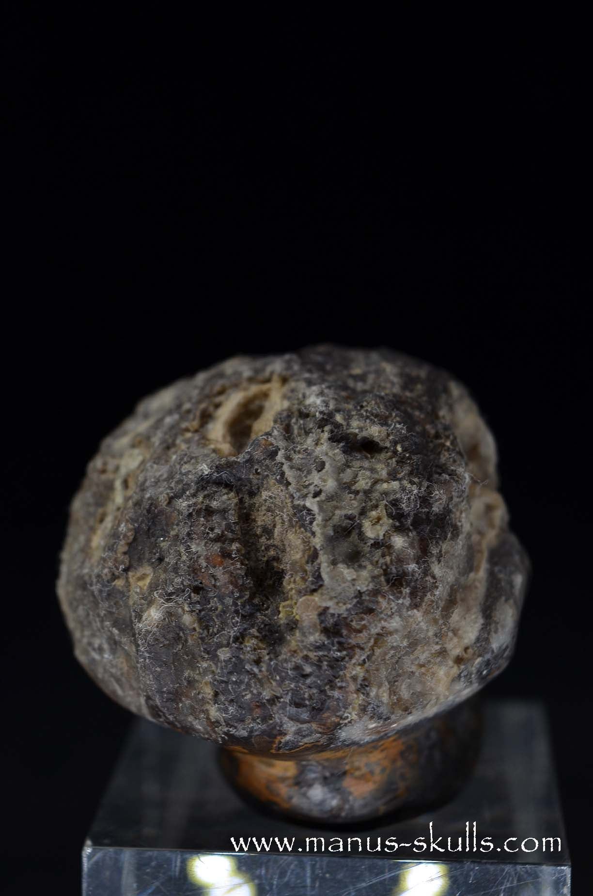 Agate Geode Evolian #08