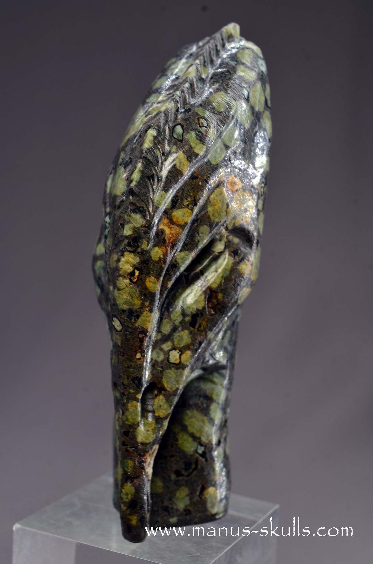Lakelandite Bird .... Skull