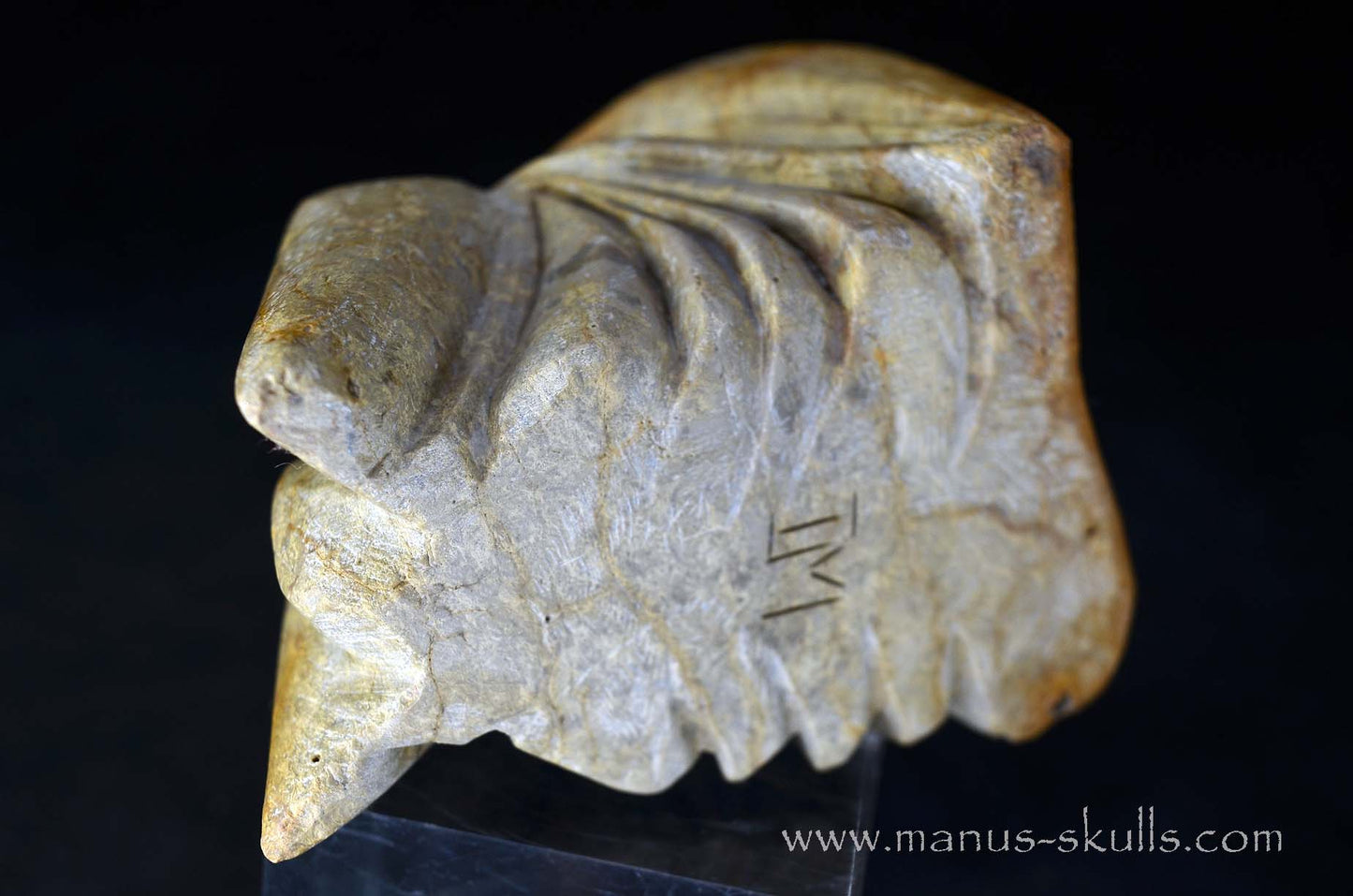 Sarsens Stone Dragon (Stonehenge Stone)