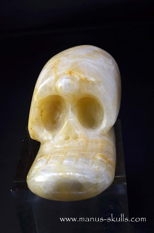 Manus skulls unique Crystal Carvings handmade skulls dragons pendants preseli bluestone tribals spiritual meaning wand Unicorn .. white calcite Evolian 2025