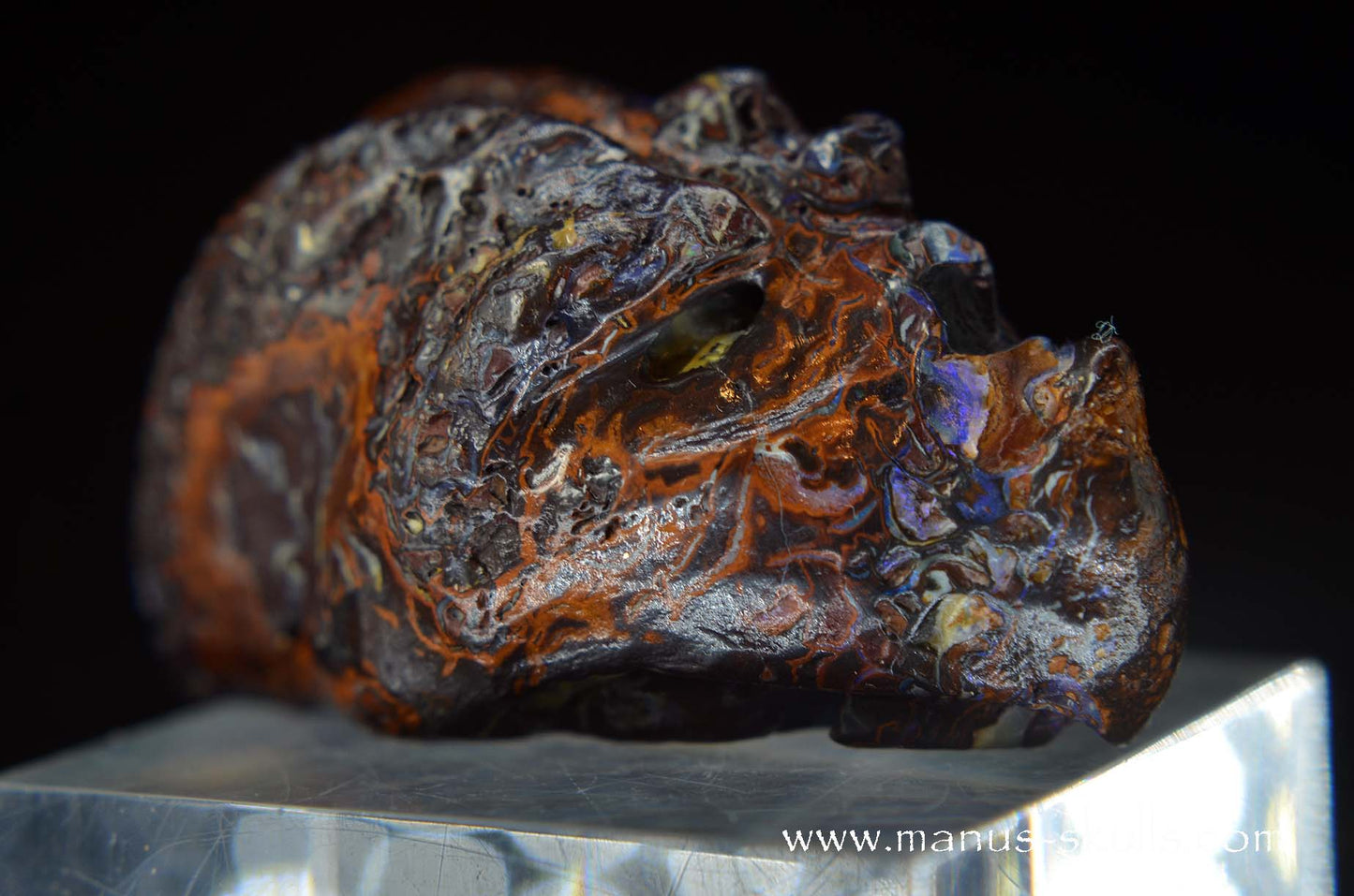 Yowah Nut Opal Dragon