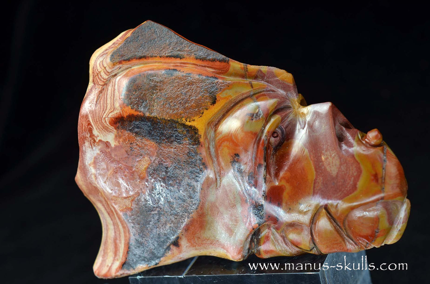 Rainbow Jasper Dragon