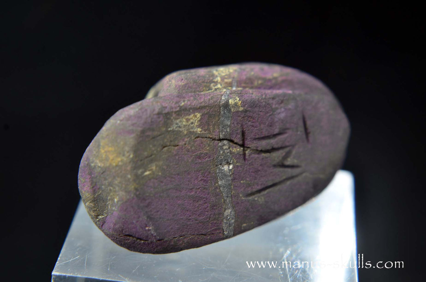 Purpurite Evolian #04