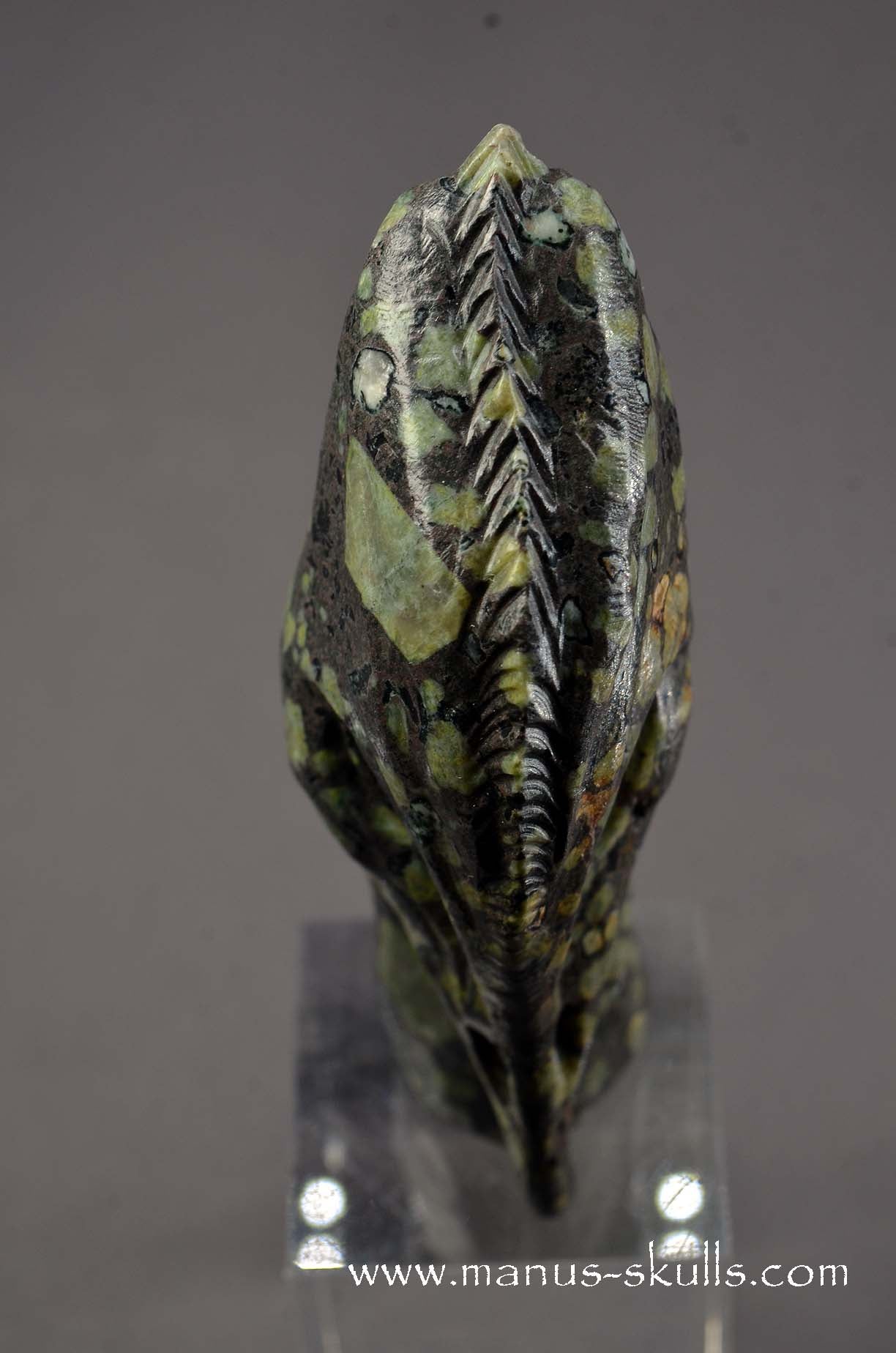 Lakelandite Bird .... Skull