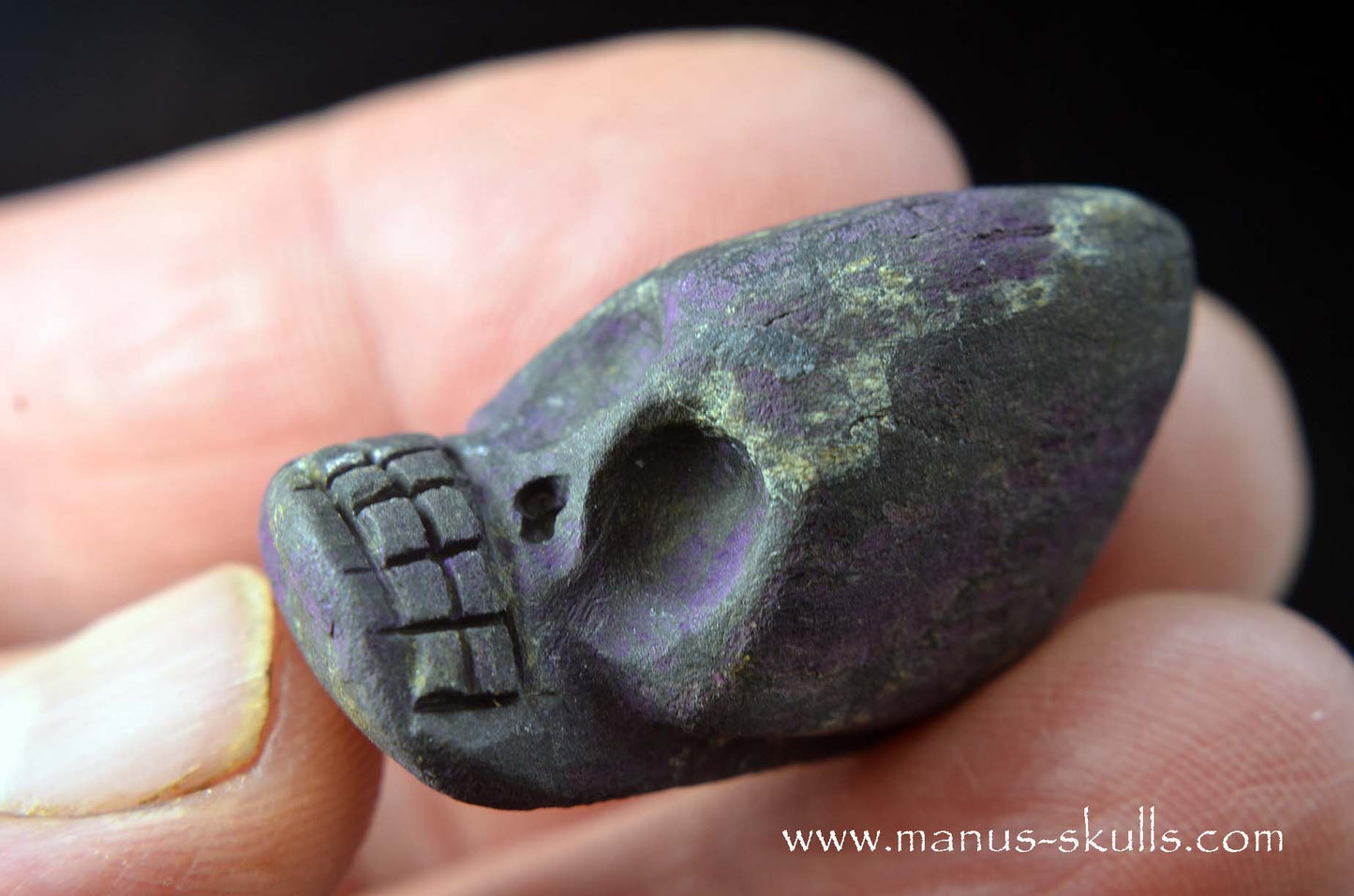 Purpurite Evolian #04