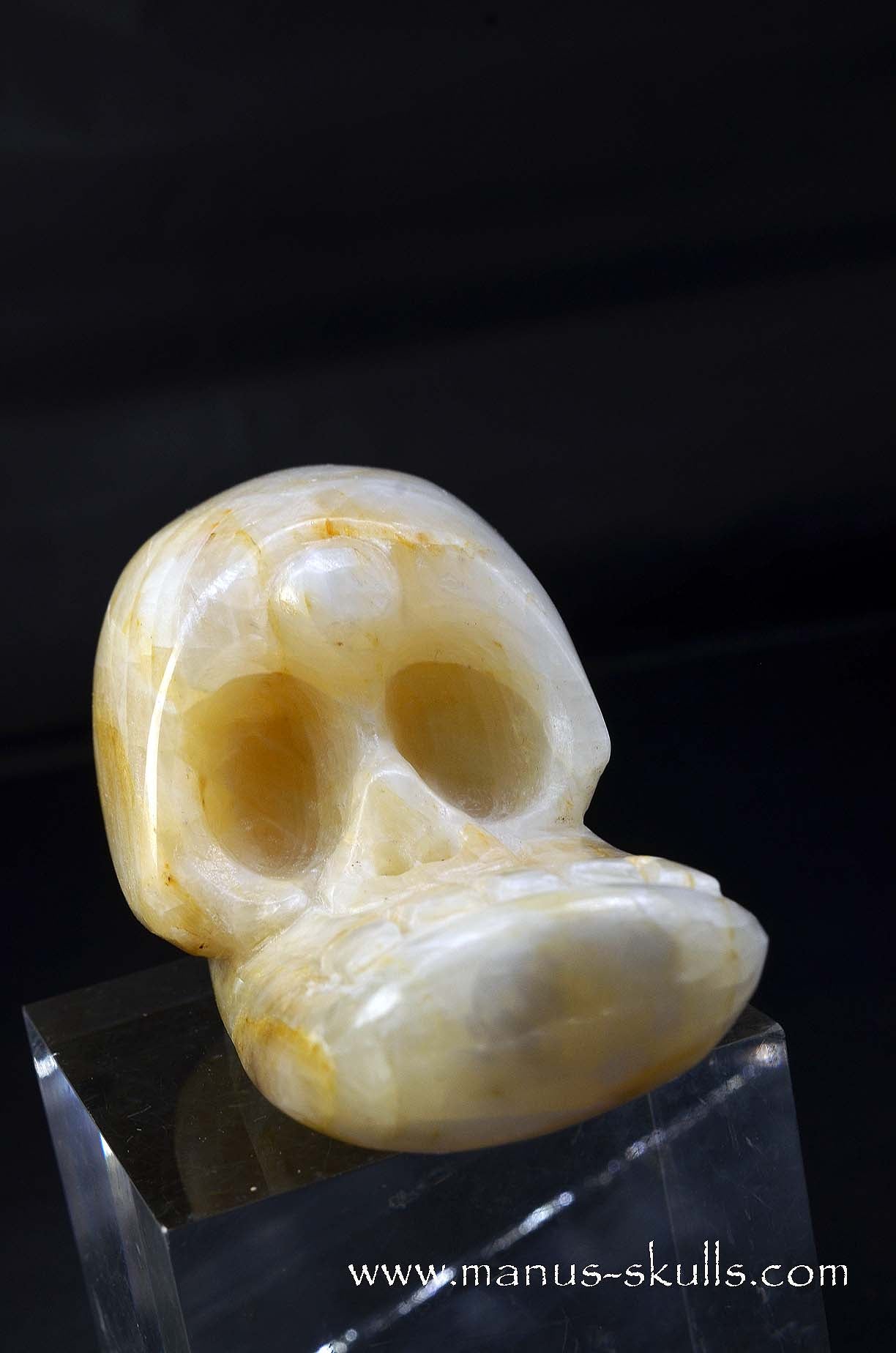 Manus skulls unique Crystal Carvings handmade skulls dragons pendants preseli bluestone tribals spiritual meaning wand Unicorn .. white calcite Evolian 2025