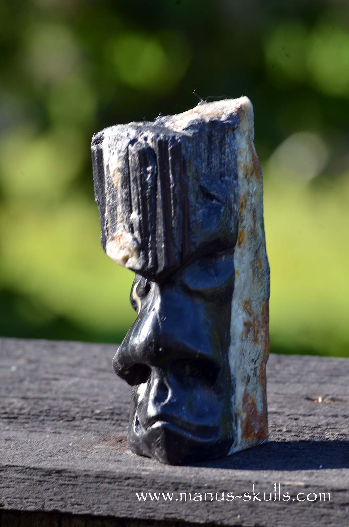Hairless Black Tourmaline Tribal Skull