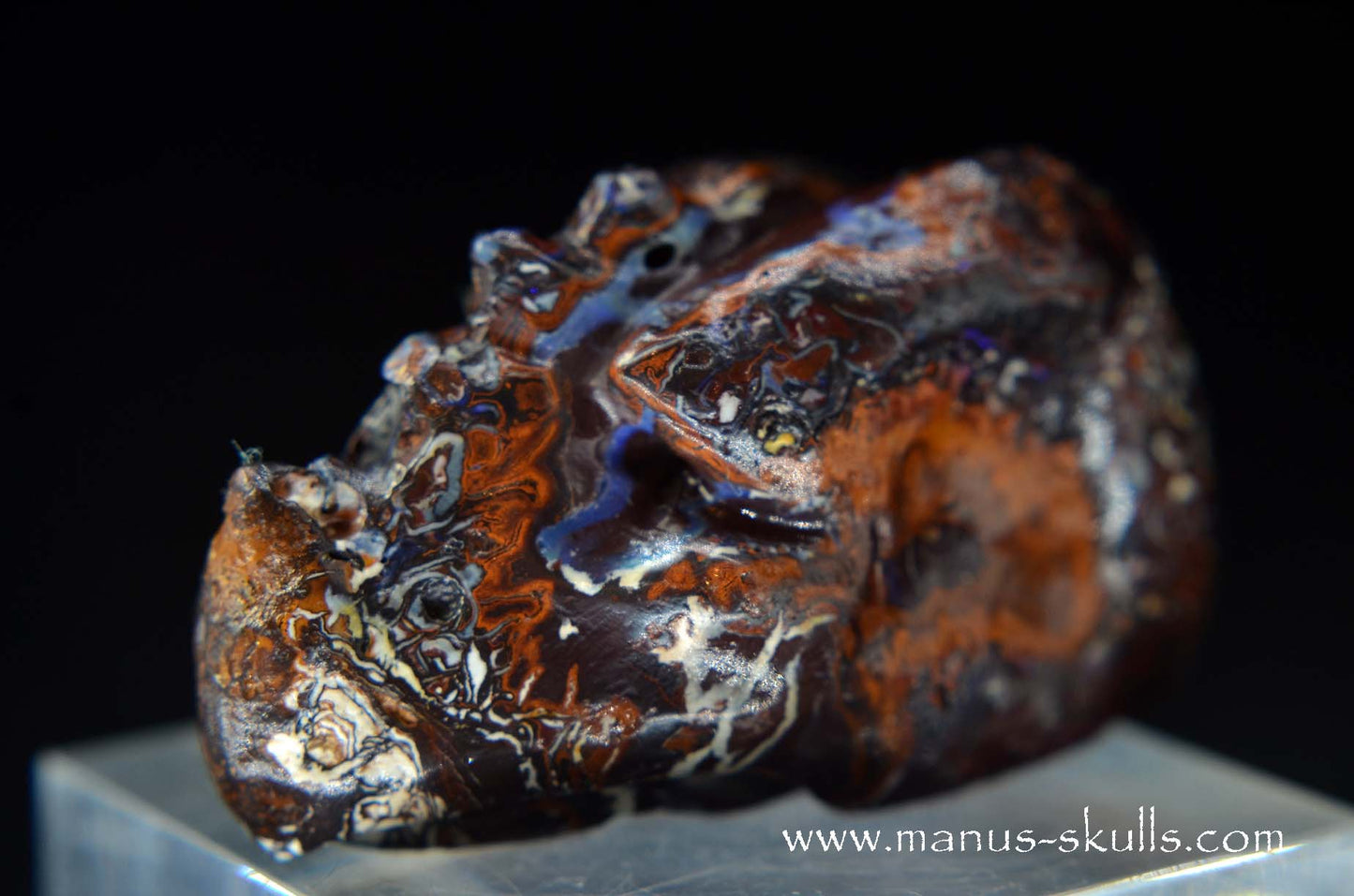 Yowah Nut Opal Dragon