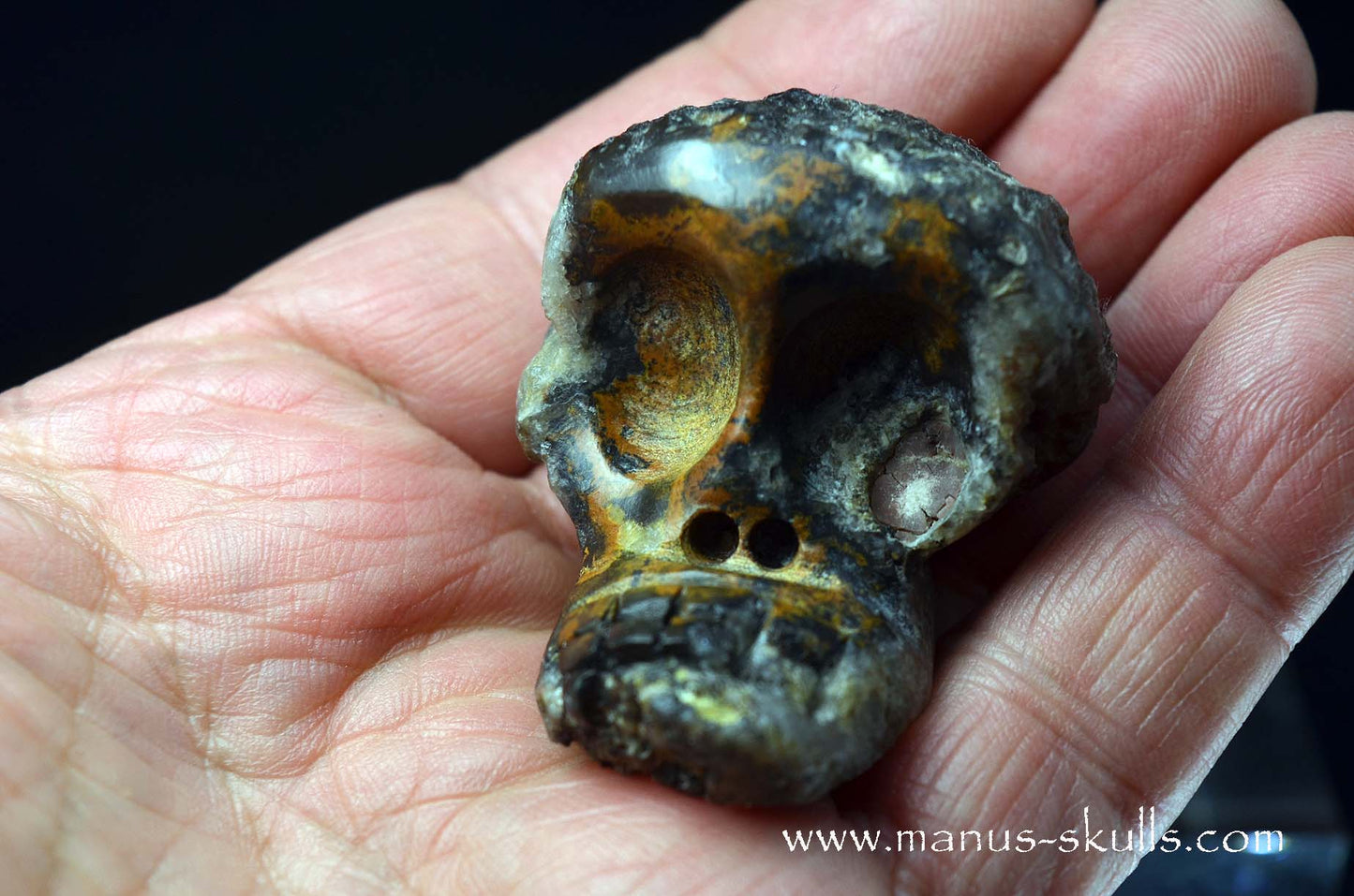 Agate Geode Evolian #08