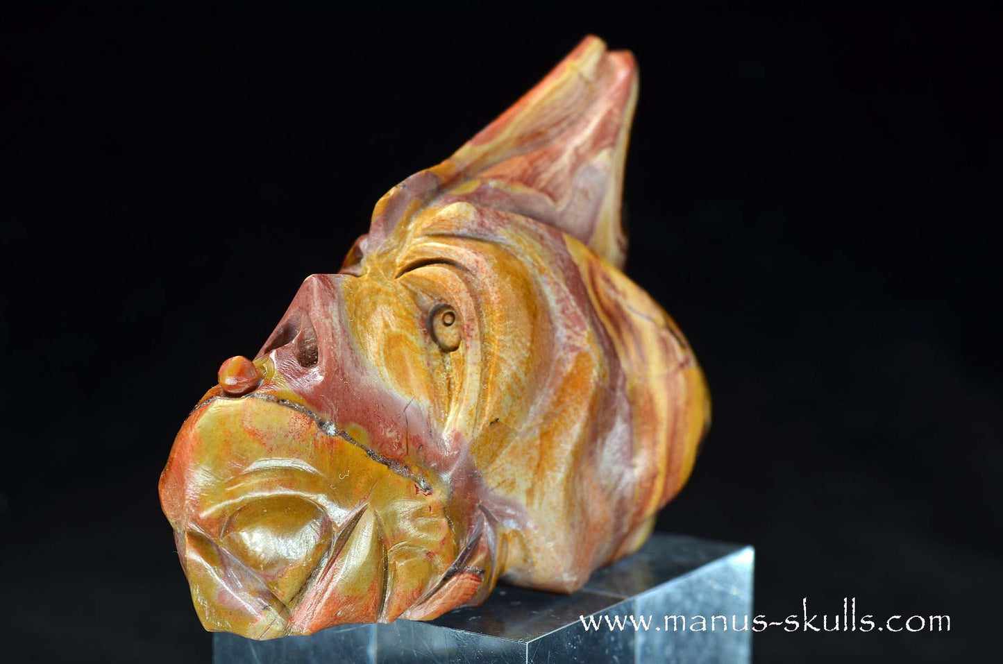 Rainbow Jasper Dragon