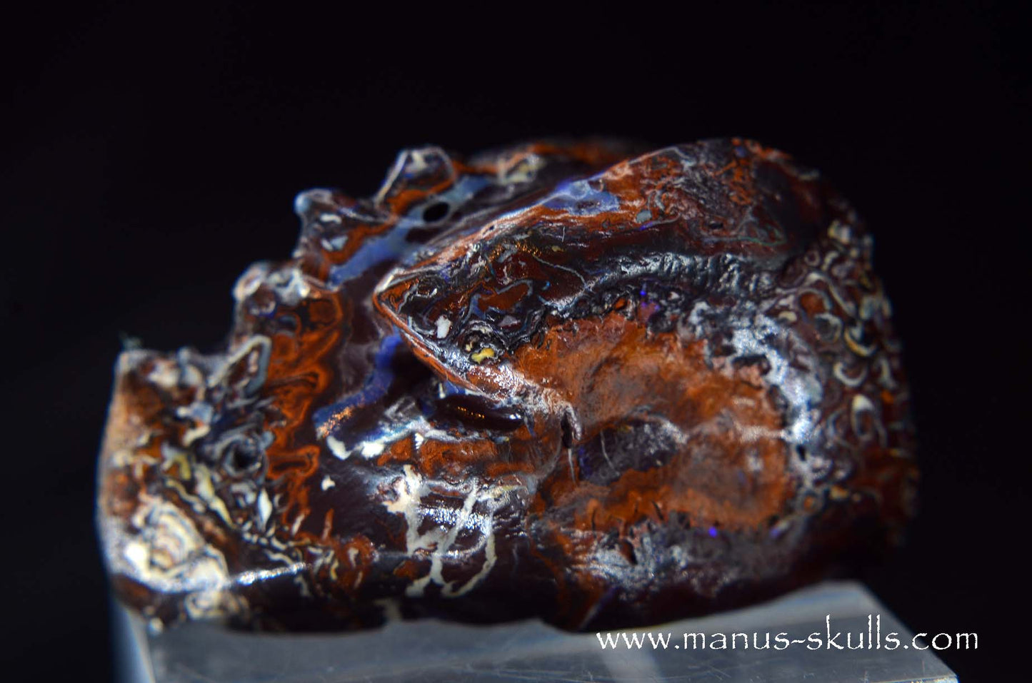 Yowah Nut Opal Dragon