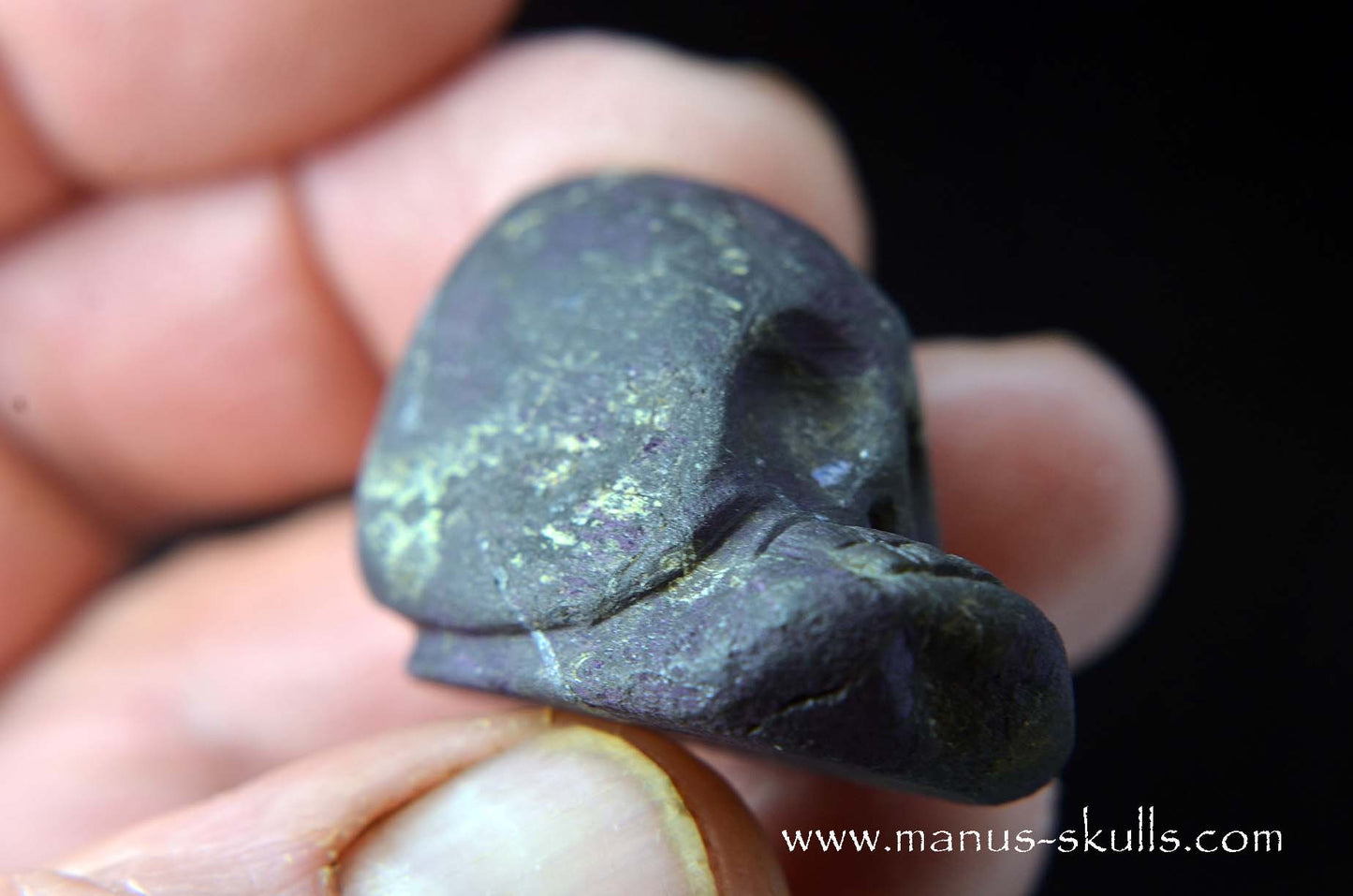 Purpurite Evolian #04