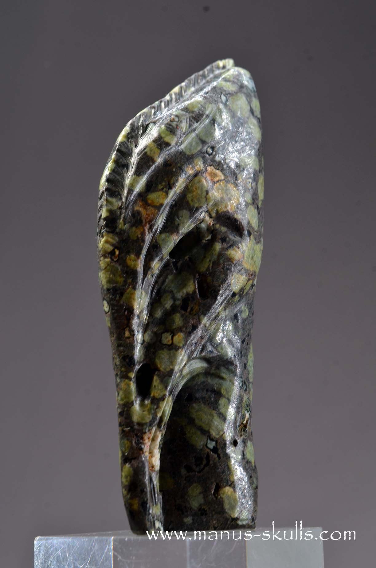 Lakelandite Bird .... Skull