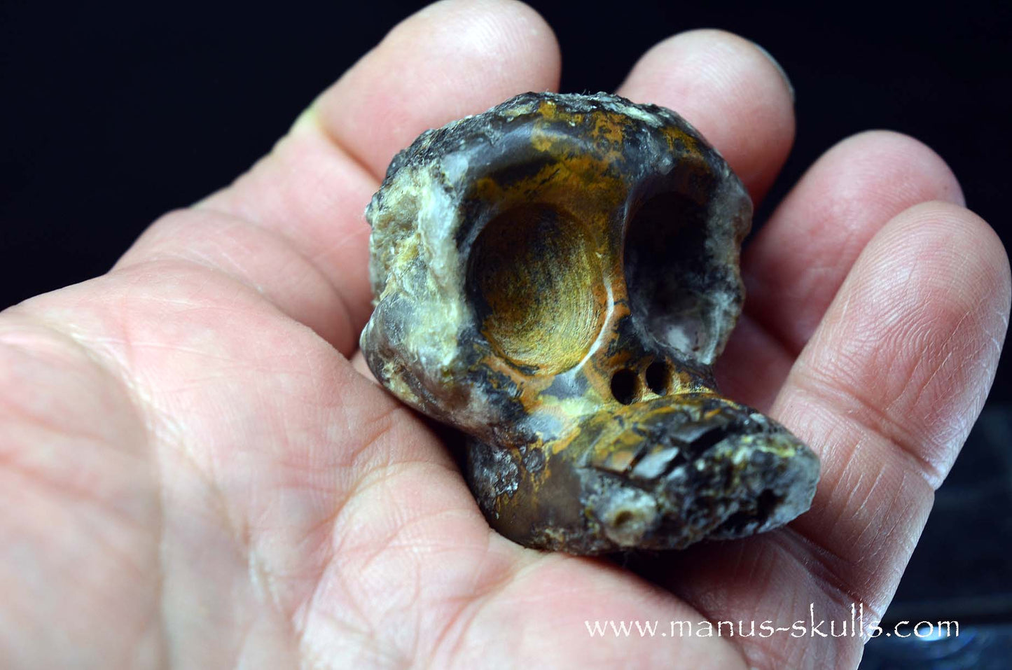 Agate Geode Evolian #08