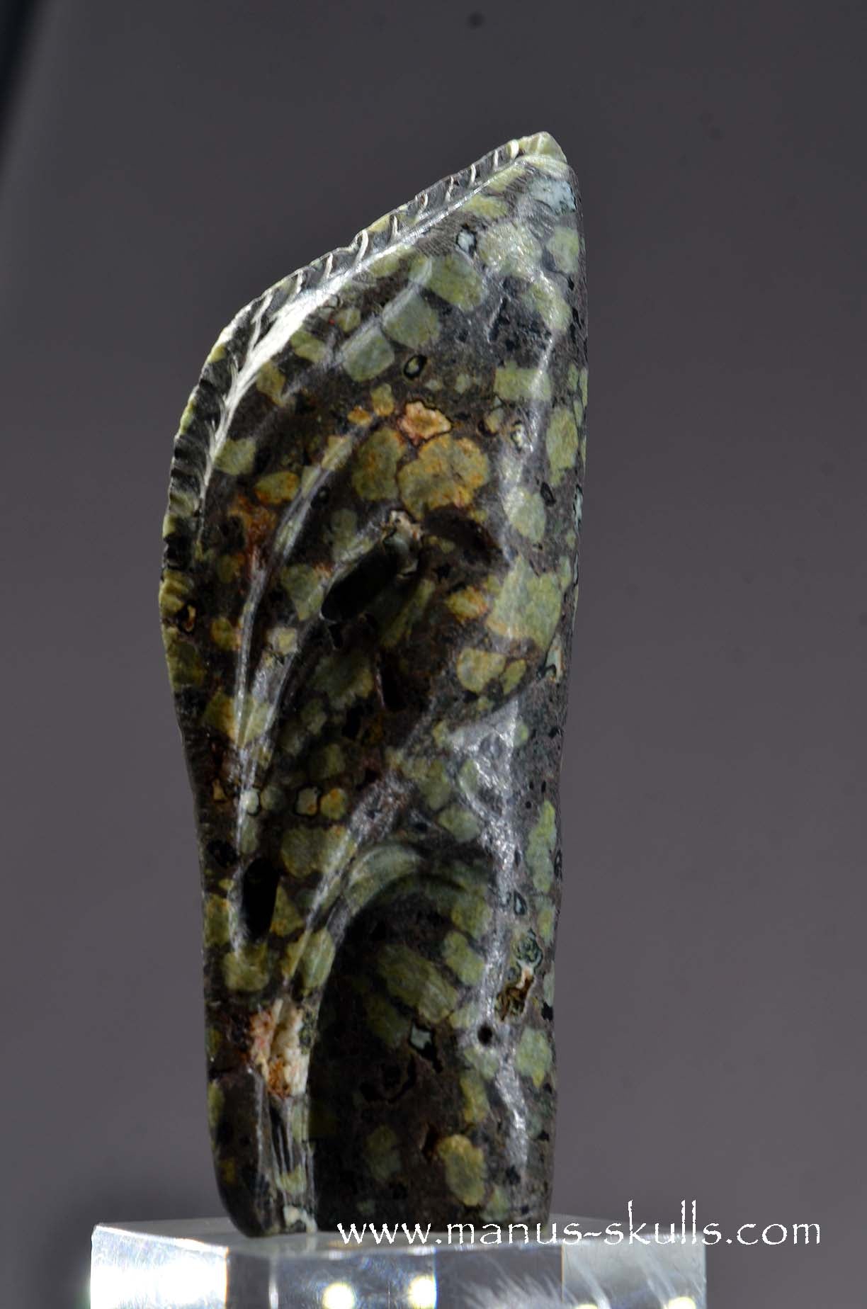 Lakelandite Bird .... Skull