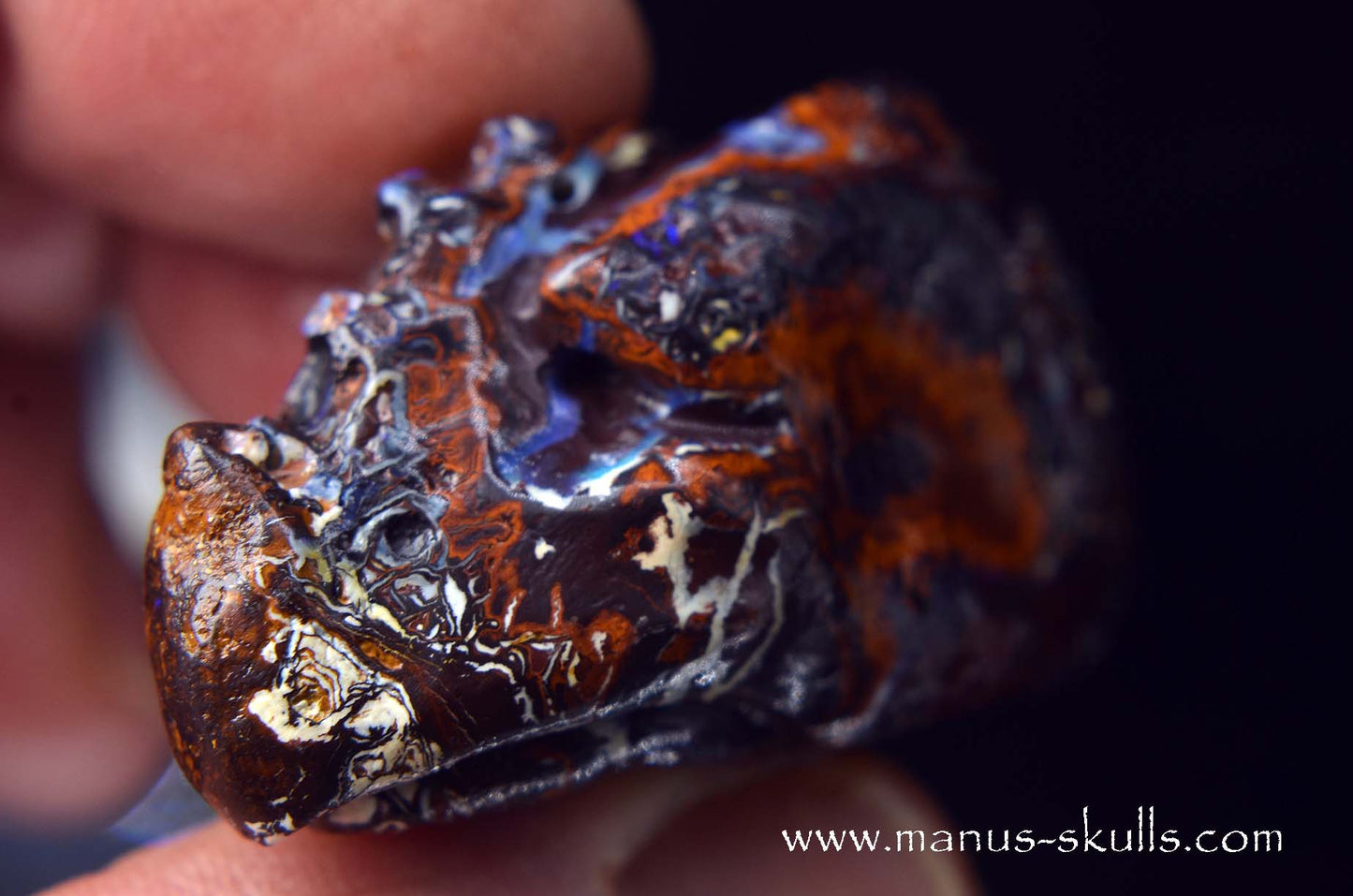 Yowah Nut Opal Dragon