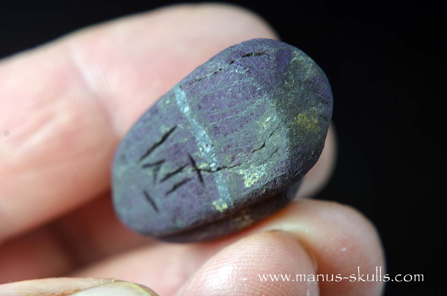 Purpurite Evolian #04