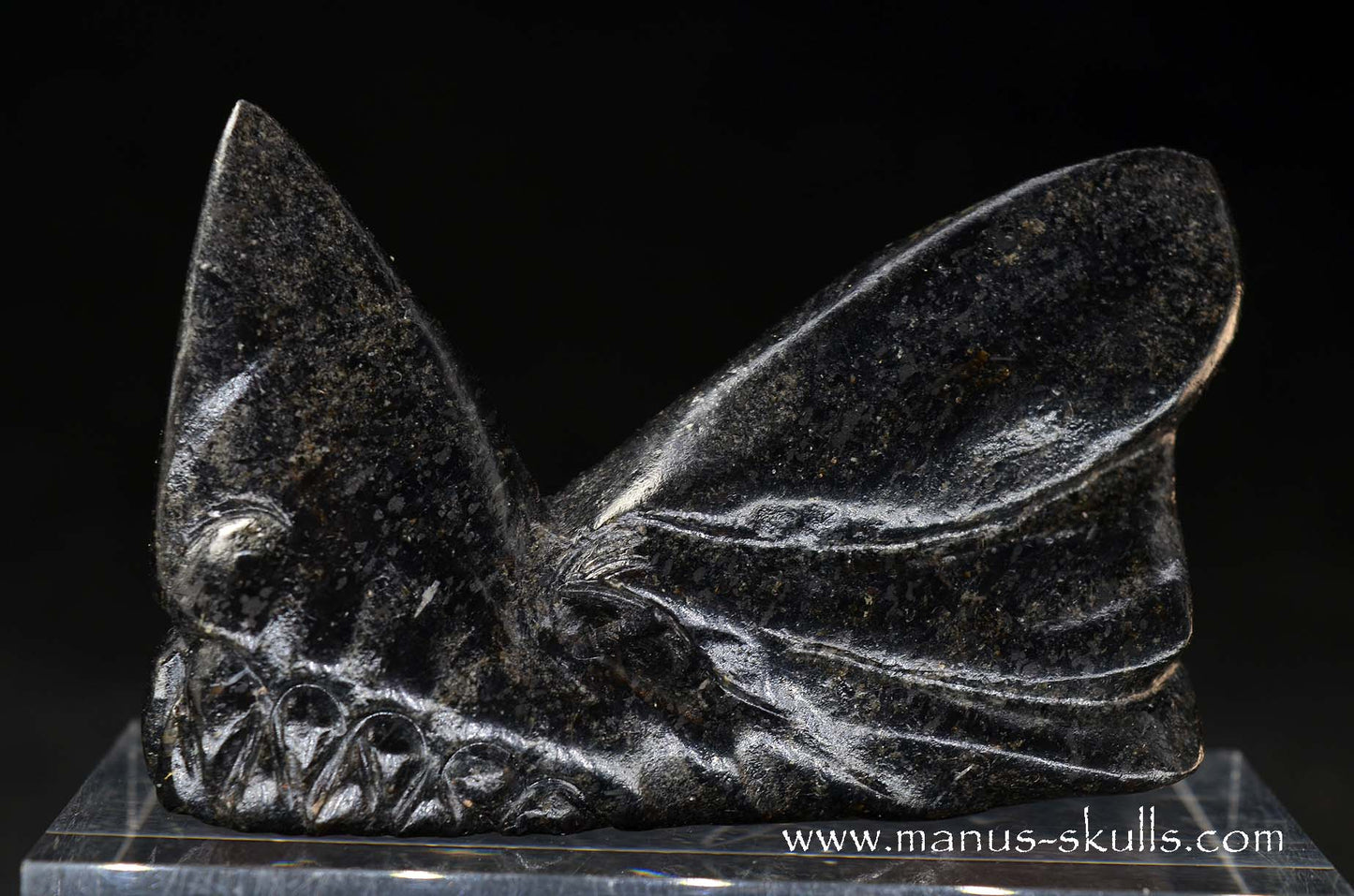 Greenland Nuummite Dragon