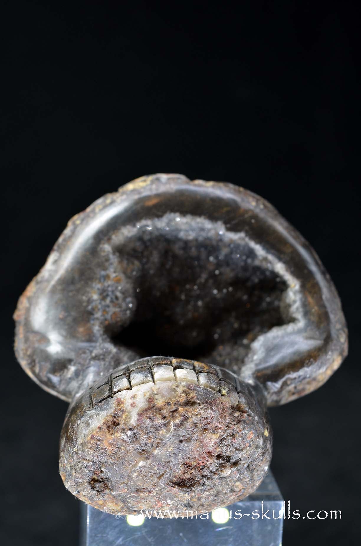 Manus skulls unique Crystal Carvings handmade skulls dragons pendants preseli bluestone tribals spiritual meaning wand Unicorn .. agate geode Evolian