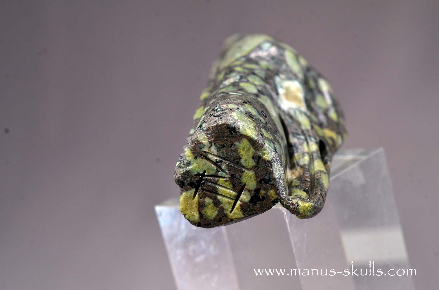 Lakelandite Bird .... Skull