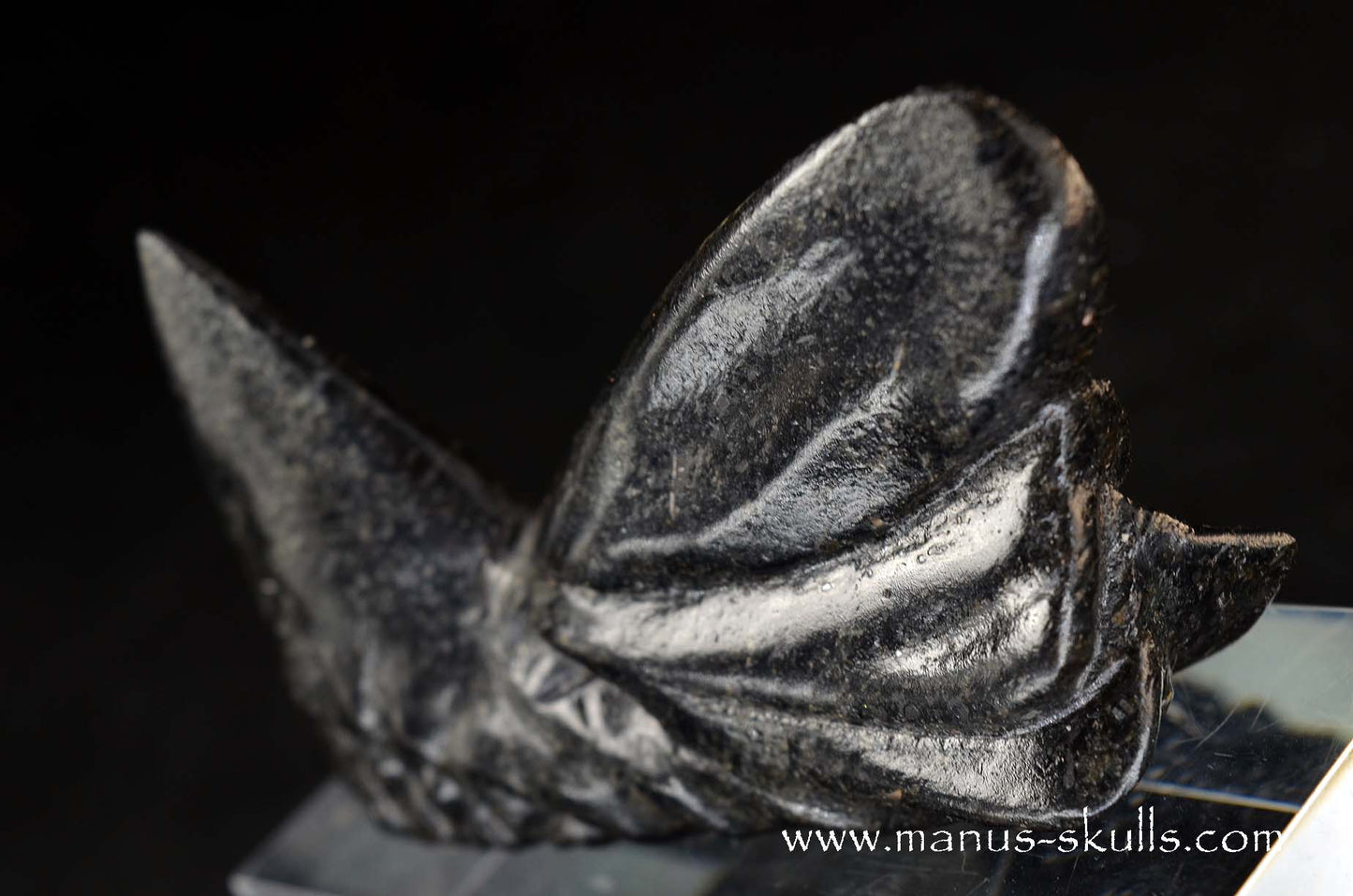 Greenland Nuummite Dragon