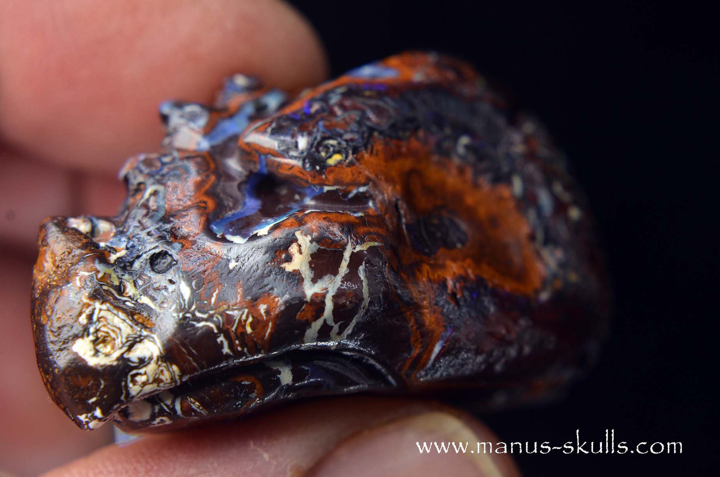 Yowah Nut Opal Dragon