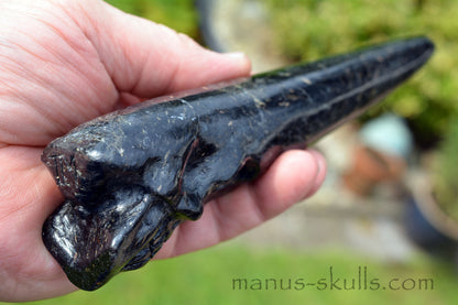 Nuummite Conehead Merlin Wand Skull .....