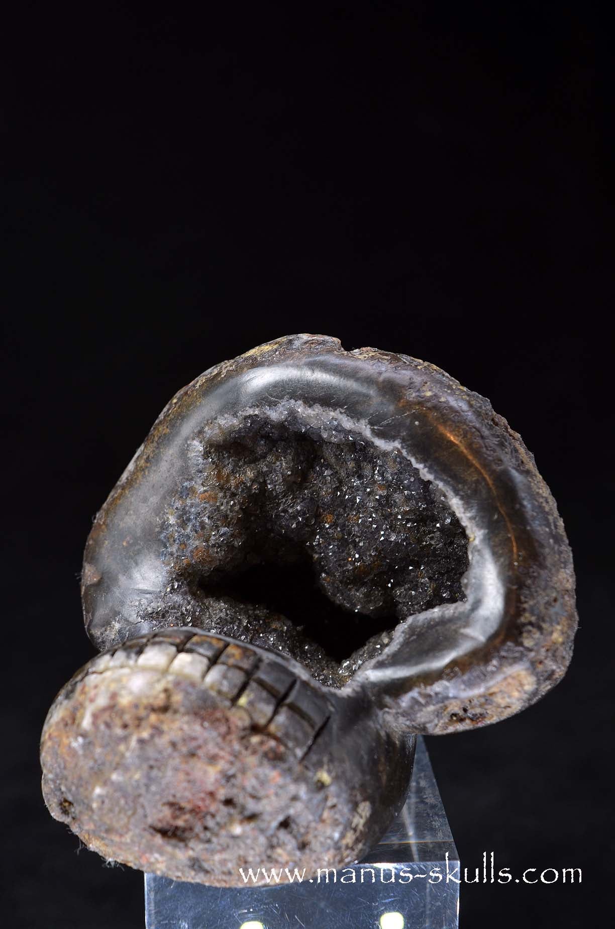 Manus skulls unique Crystal Carvings handmade skulls dragons pendants preseli bluestone tribals spiritual meaning wand Unicorn .. agate geode Evolian