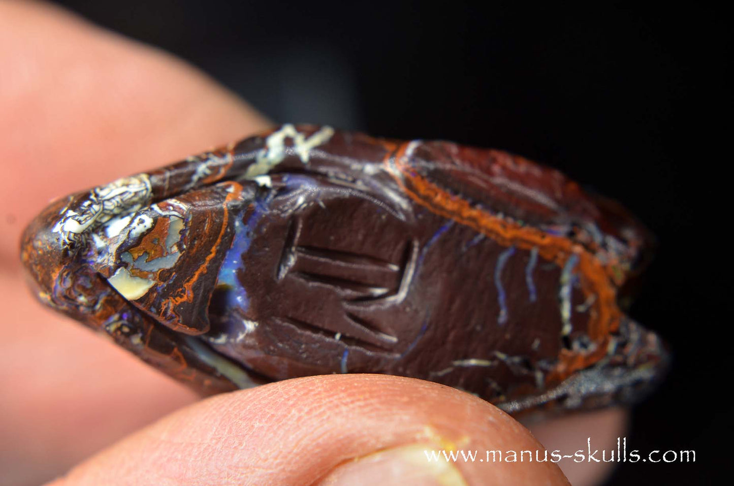 Yowah Nut Opal Dragon