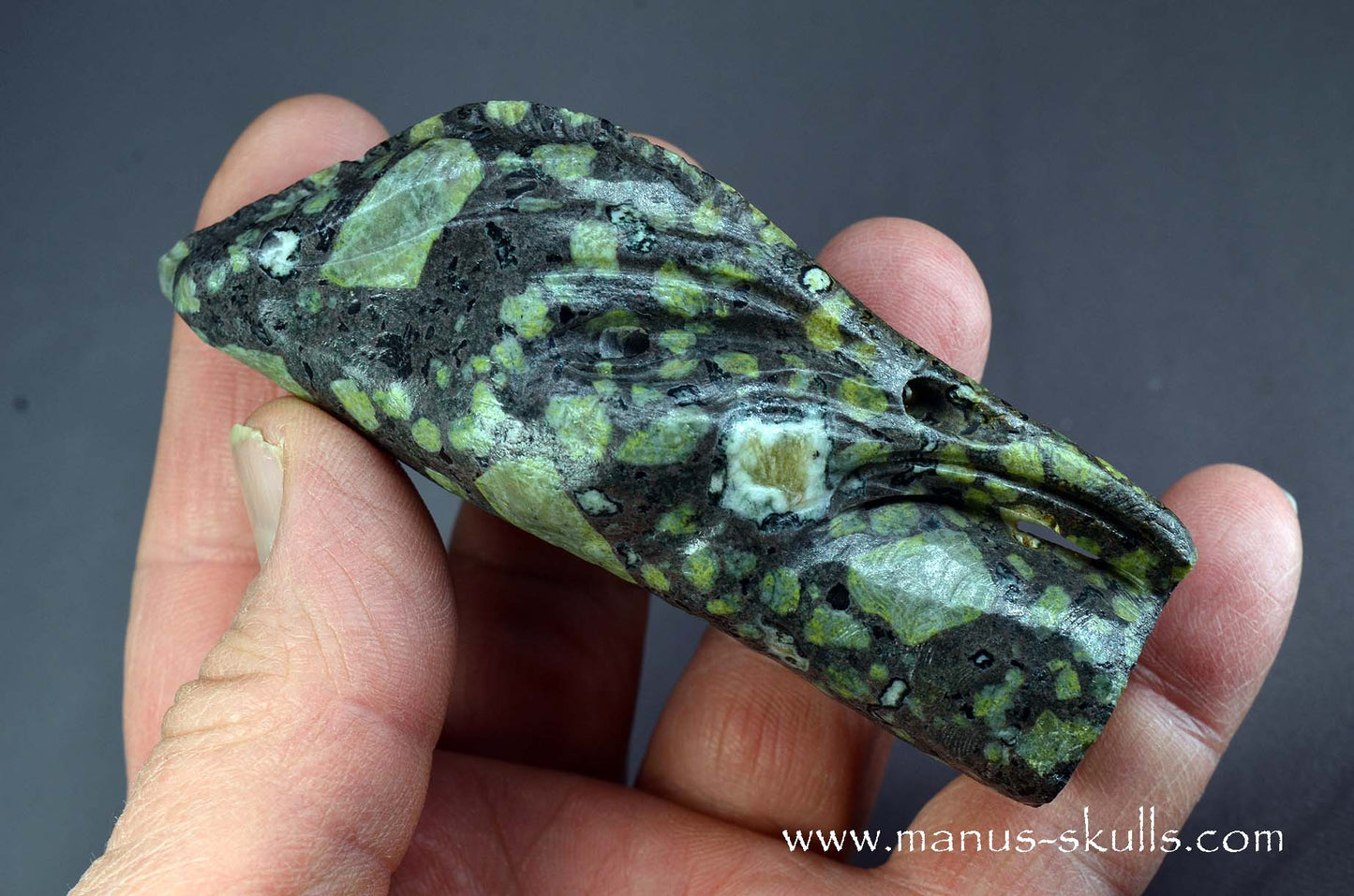 Lakelandite Bird .... Skull