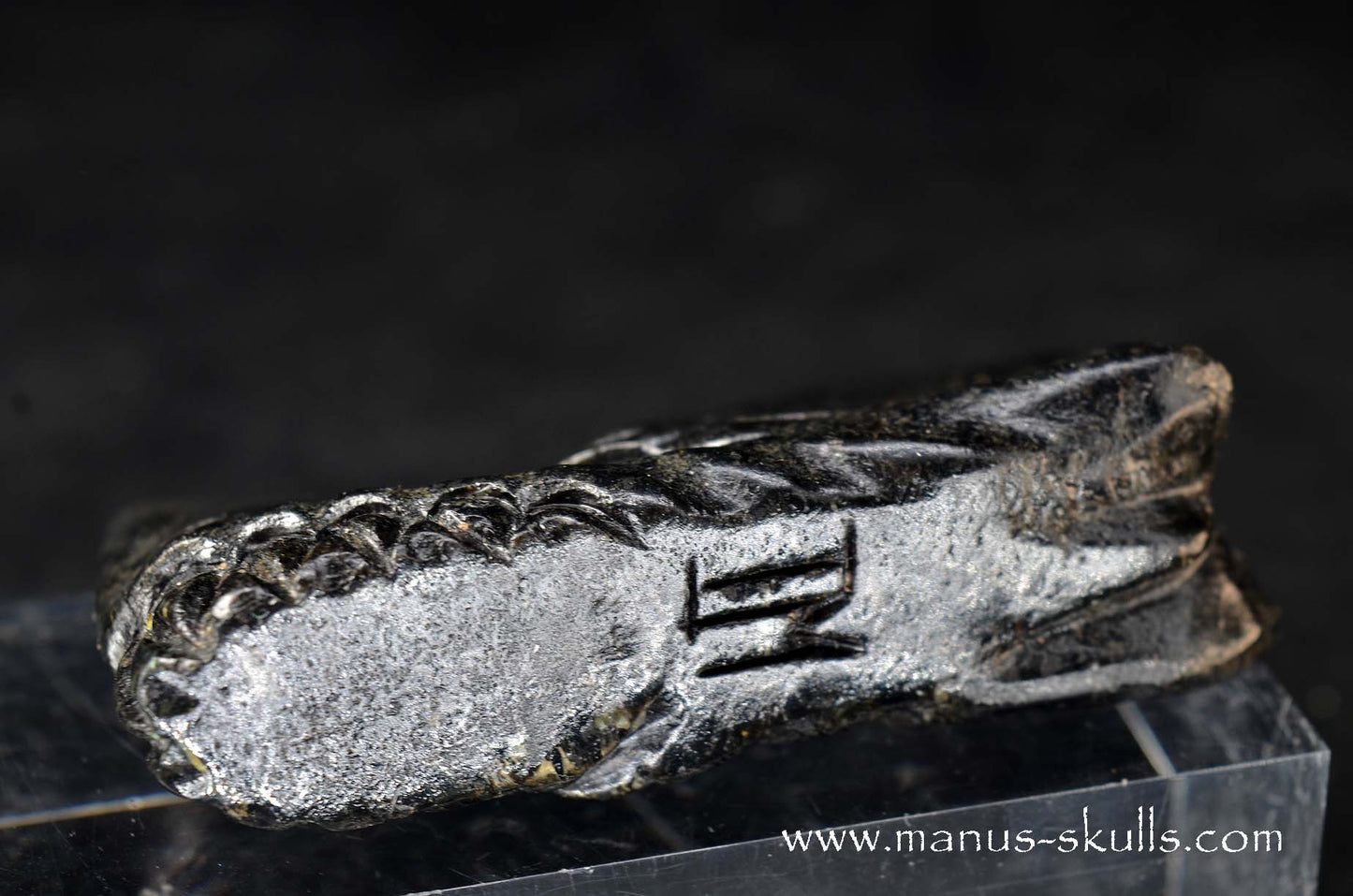 Greenland Nuummite Dragon