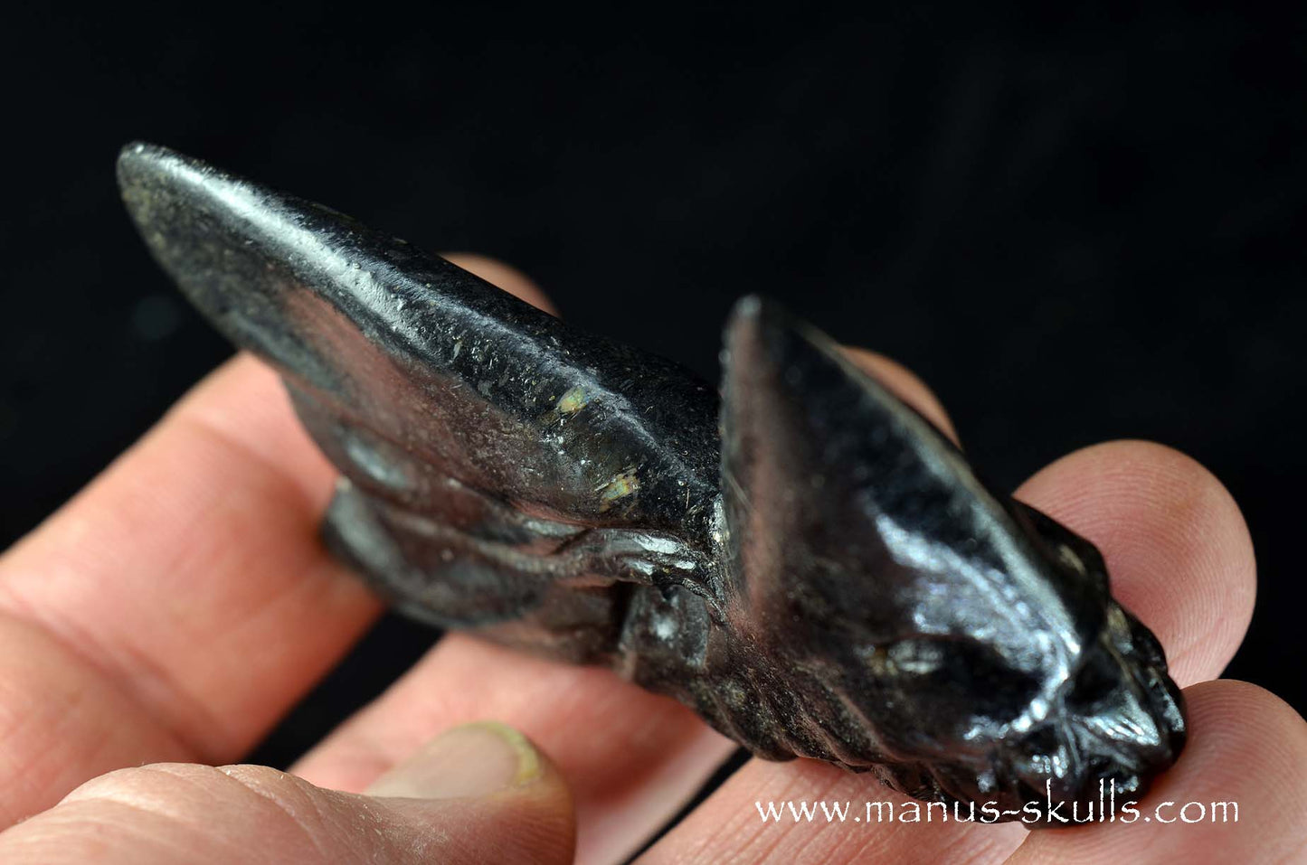 Greenland Nuummite Dragon
