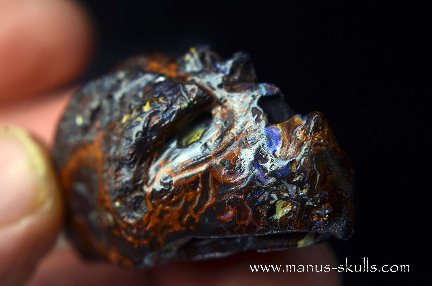 Yowah Nut Opal Dragon