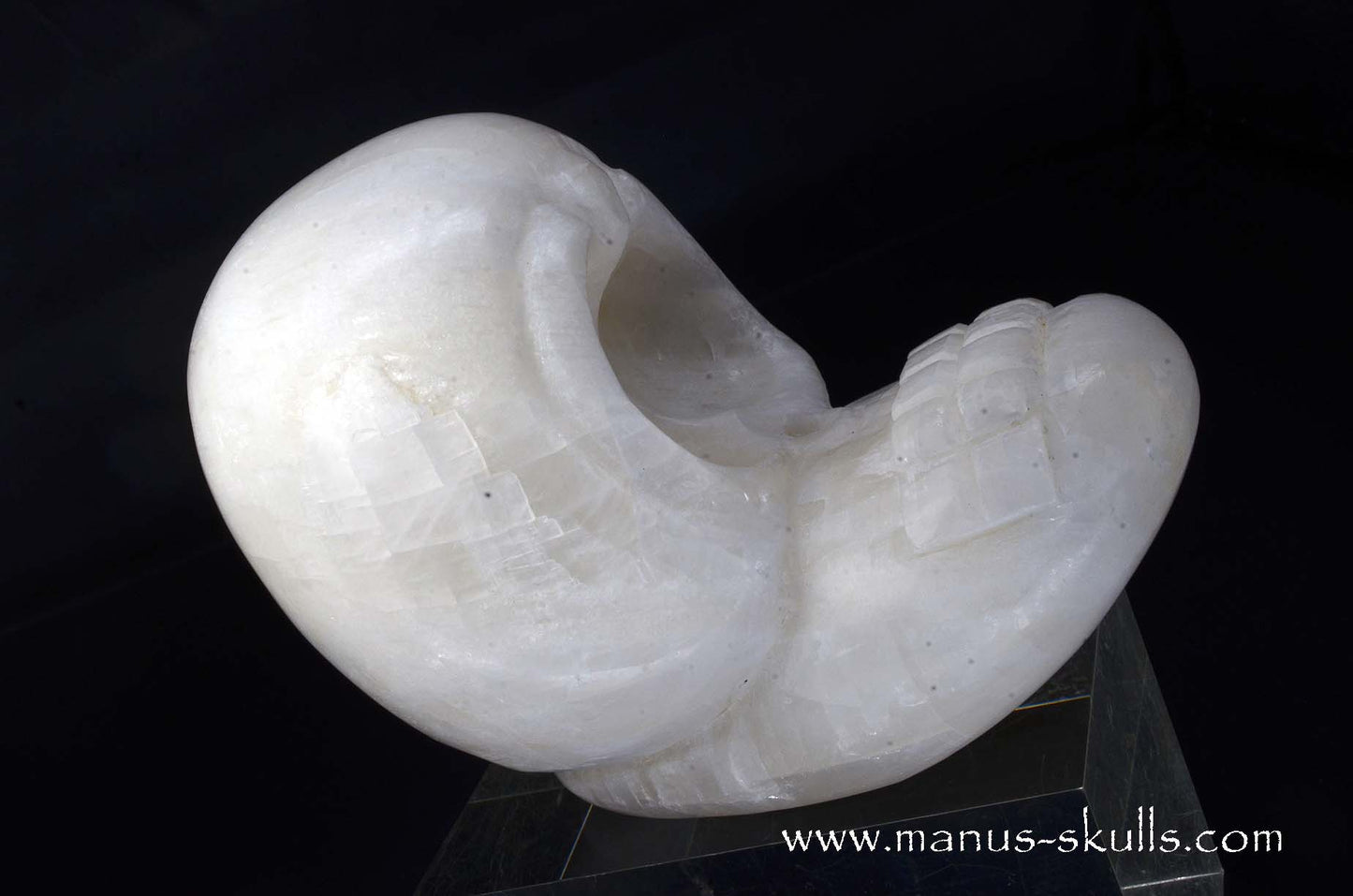 White Calcite Evolian Skull  #03