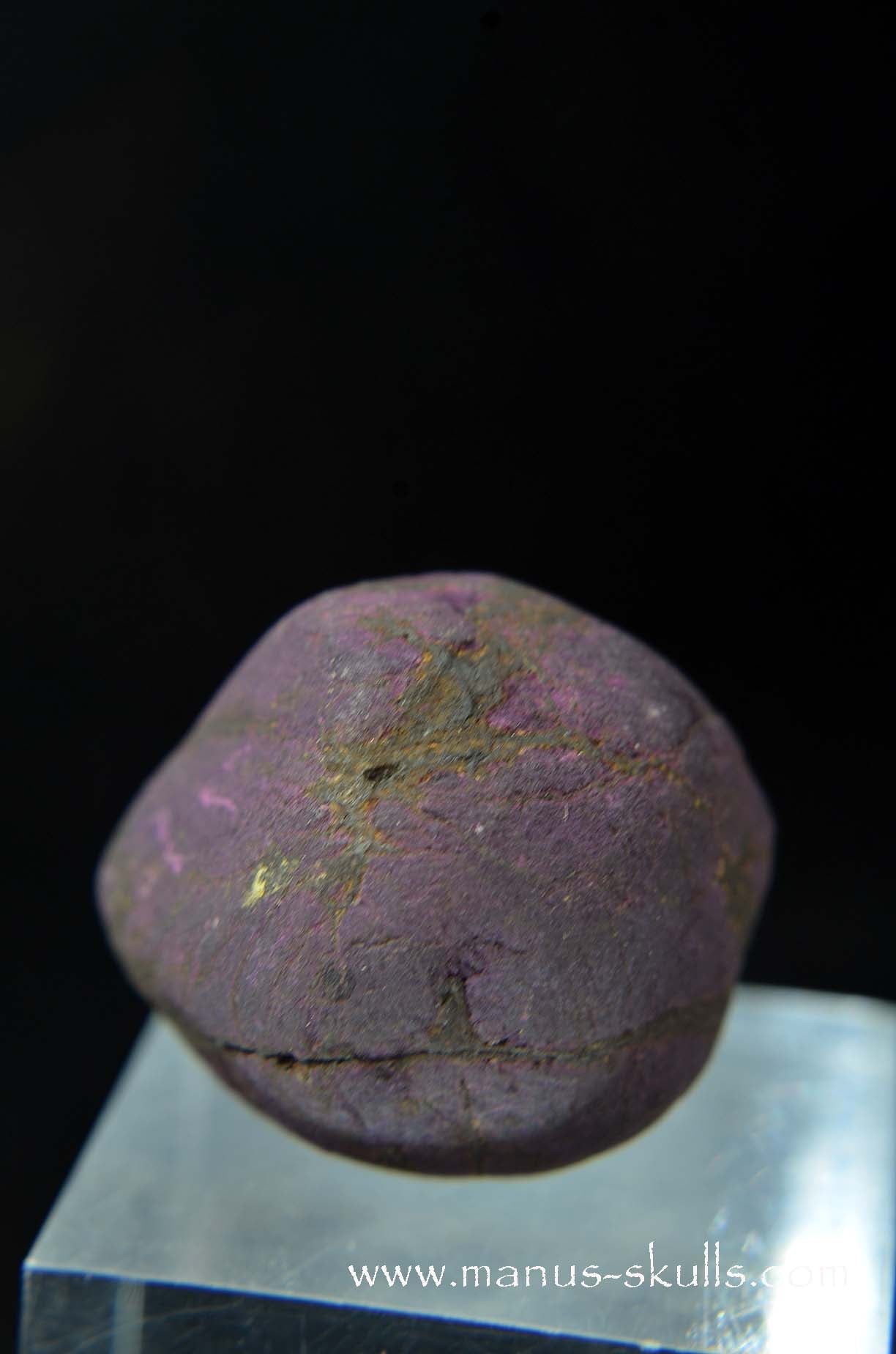 Purpurite Evolian #05