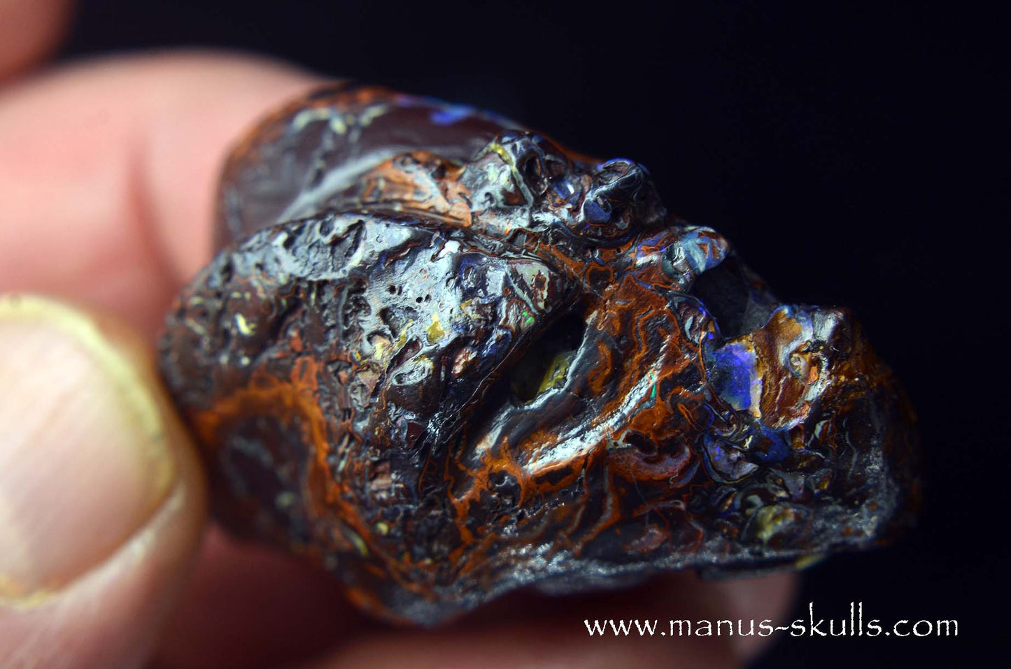 Yowah Nut Opal Dragon