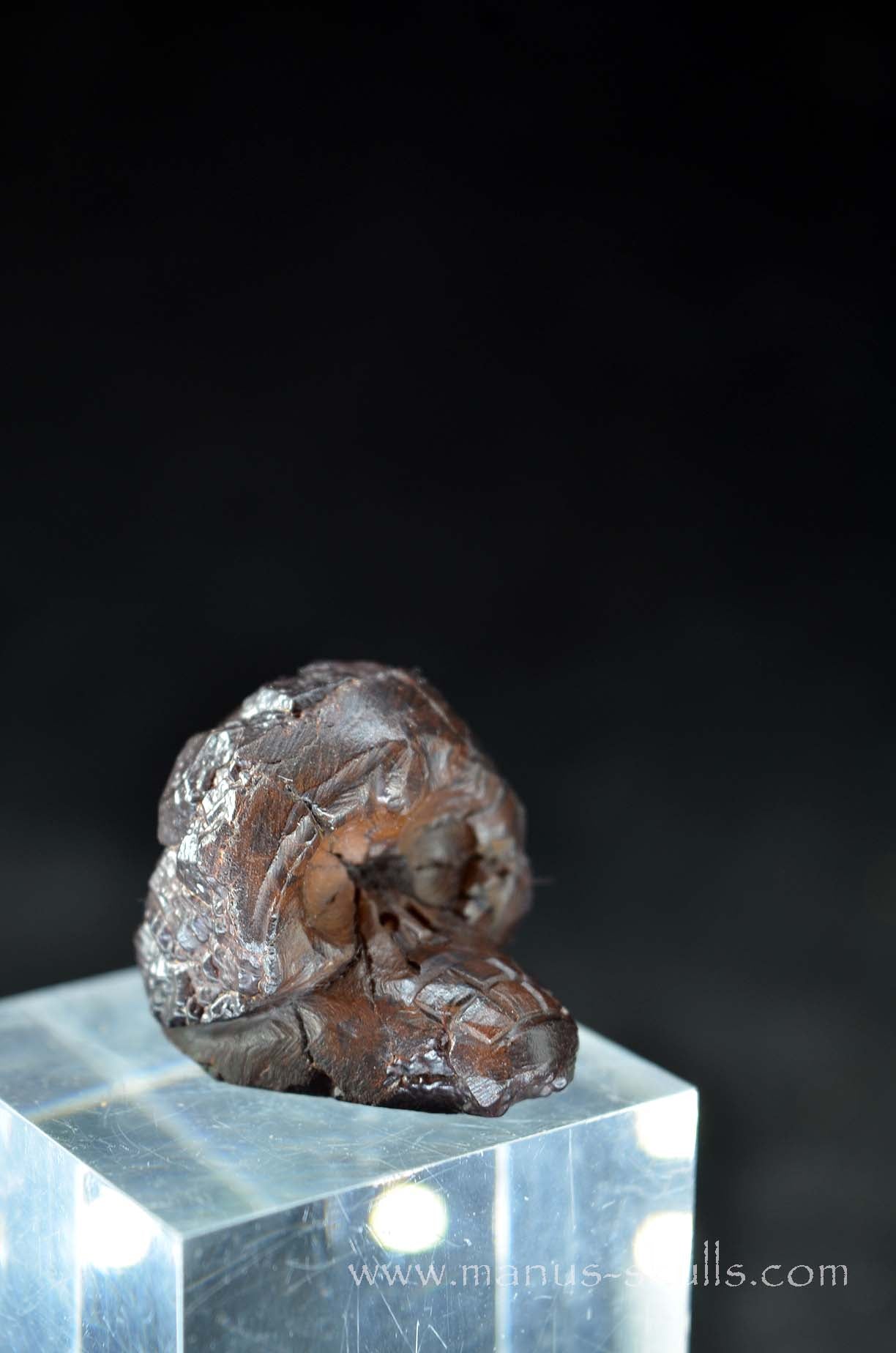 Manus skulls unique Crystal Carvings handmade skulls dragons pendants preseli bluestone tribals spiritual meaning wand Unicorn .. prophecy stone