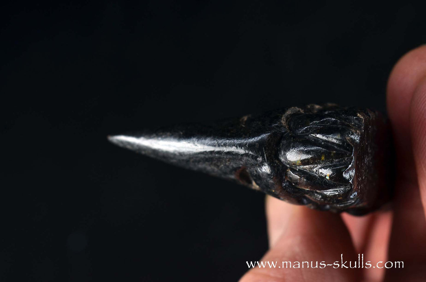 Greenland Nuummite Dragon