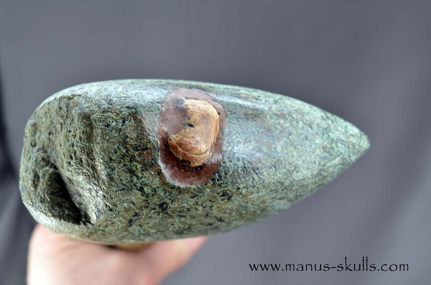 Unspotted Preseli Bluestone Neolithic Axe