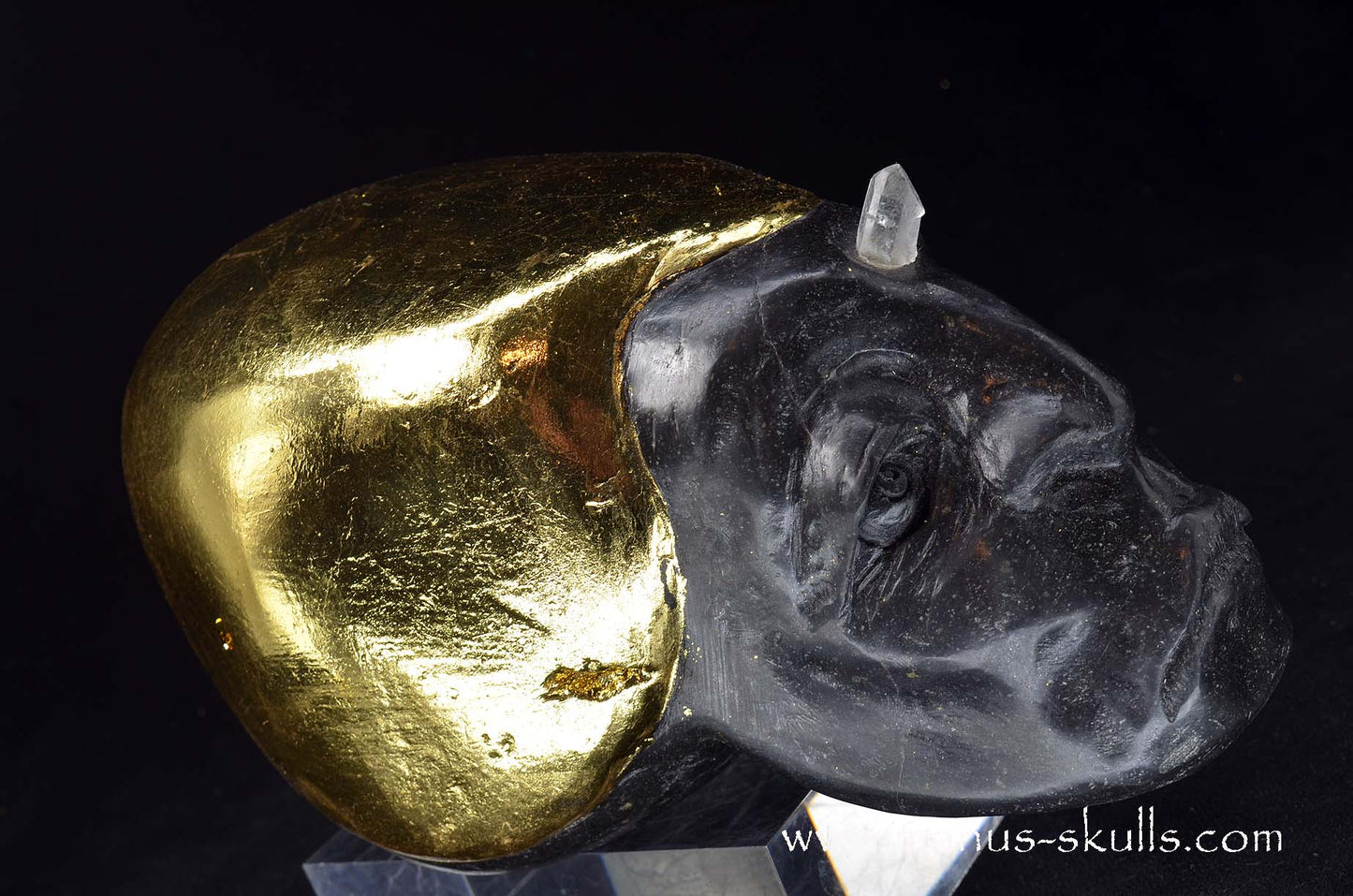 Star Light Being Skull  (Sen’tri)