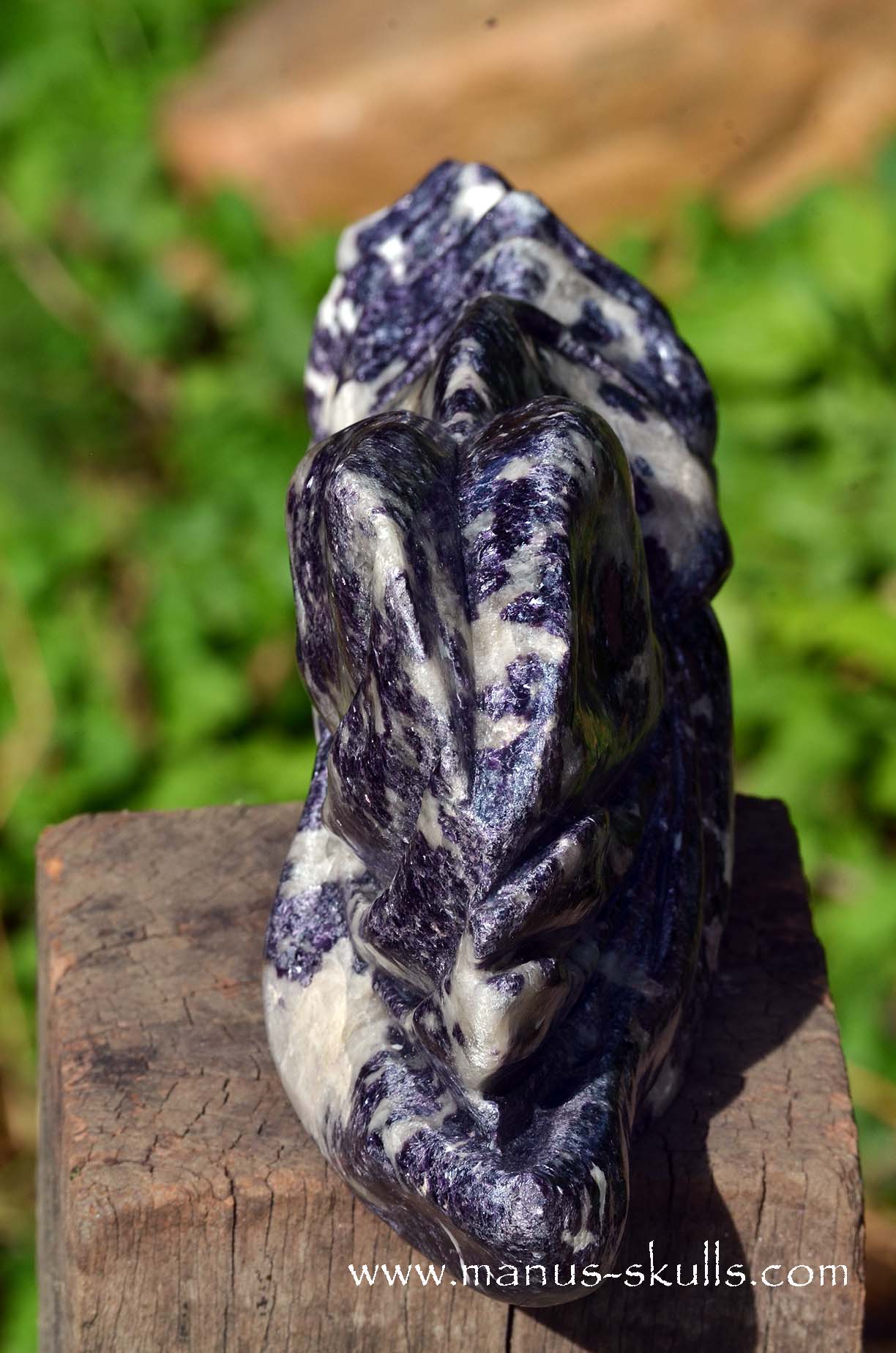 Huge LEPIDOLITE Dragon ...