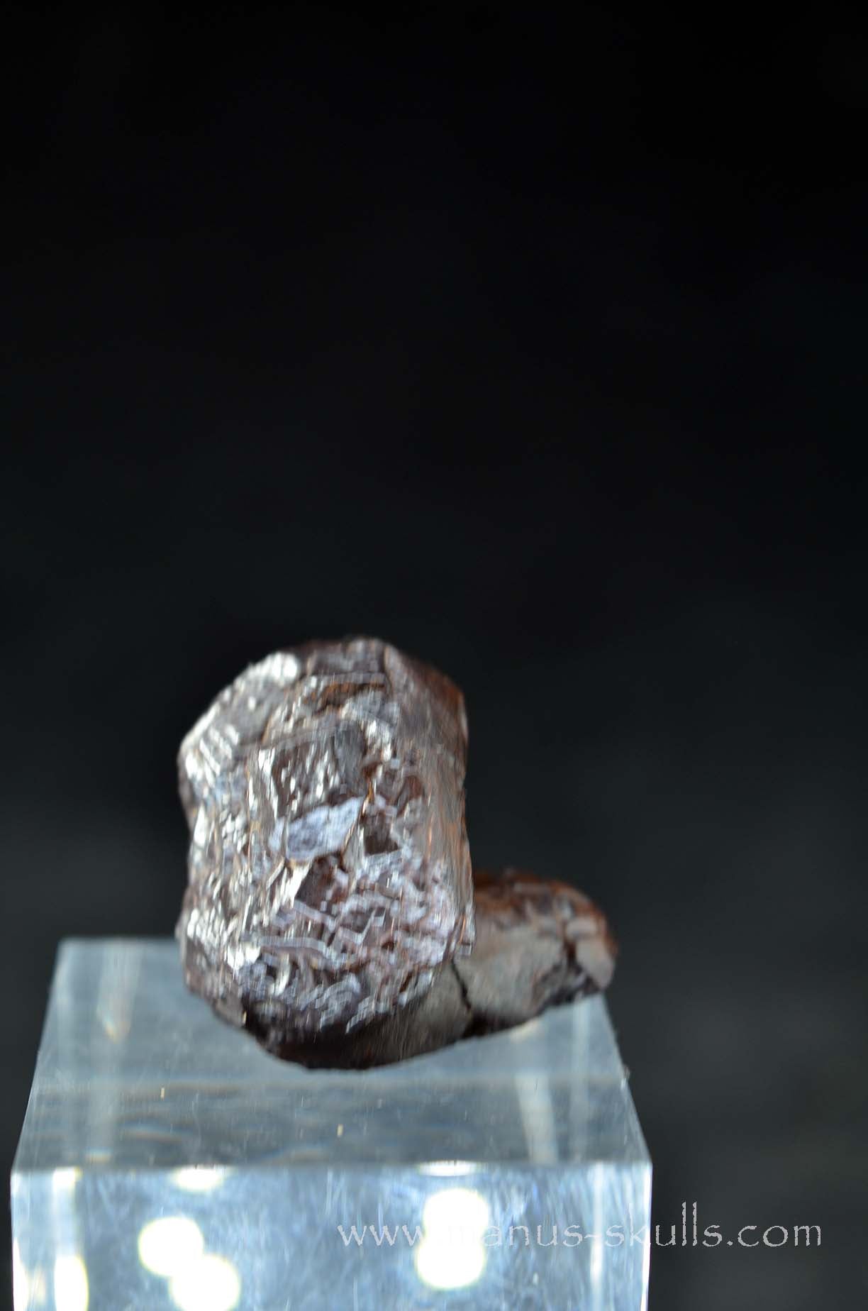 Prophecy Stone Evolian #03