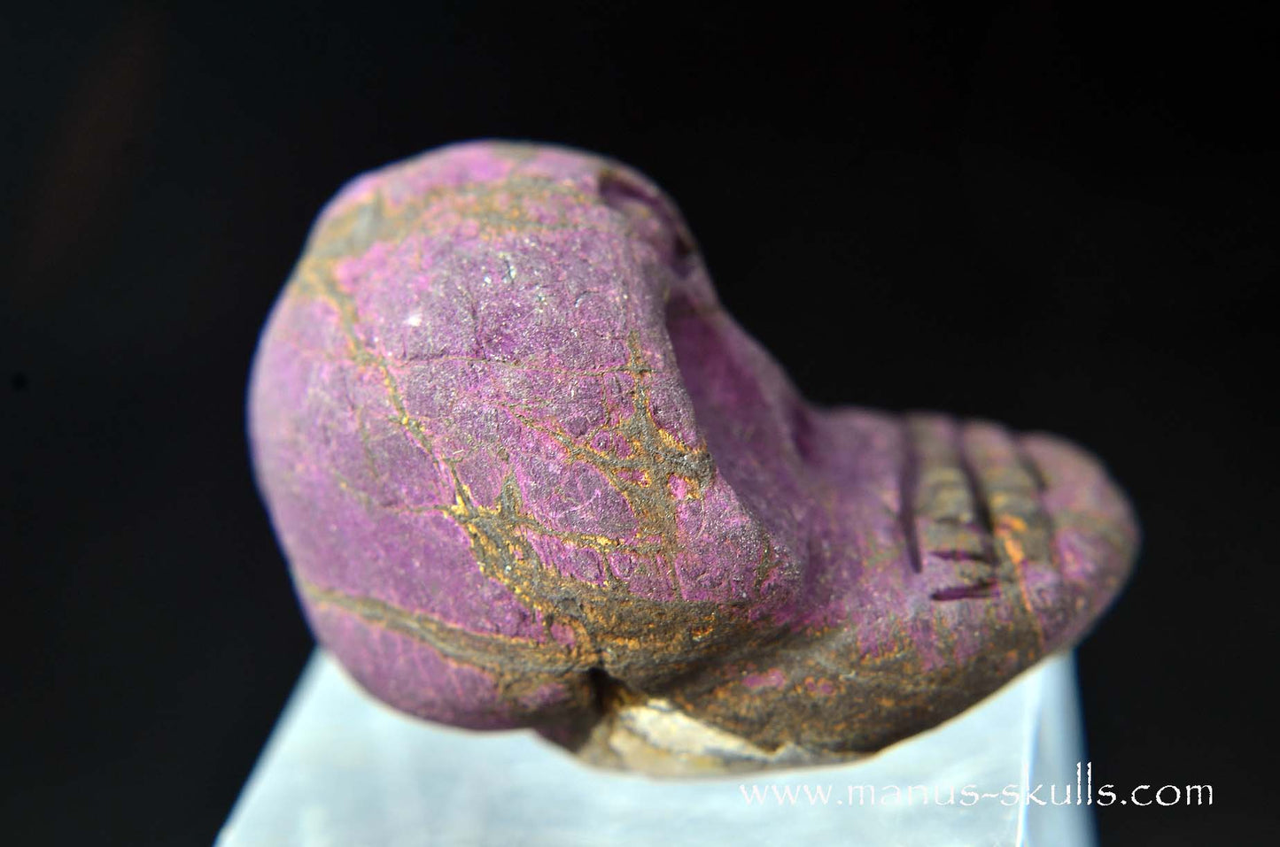 Purpurite Evolian #05